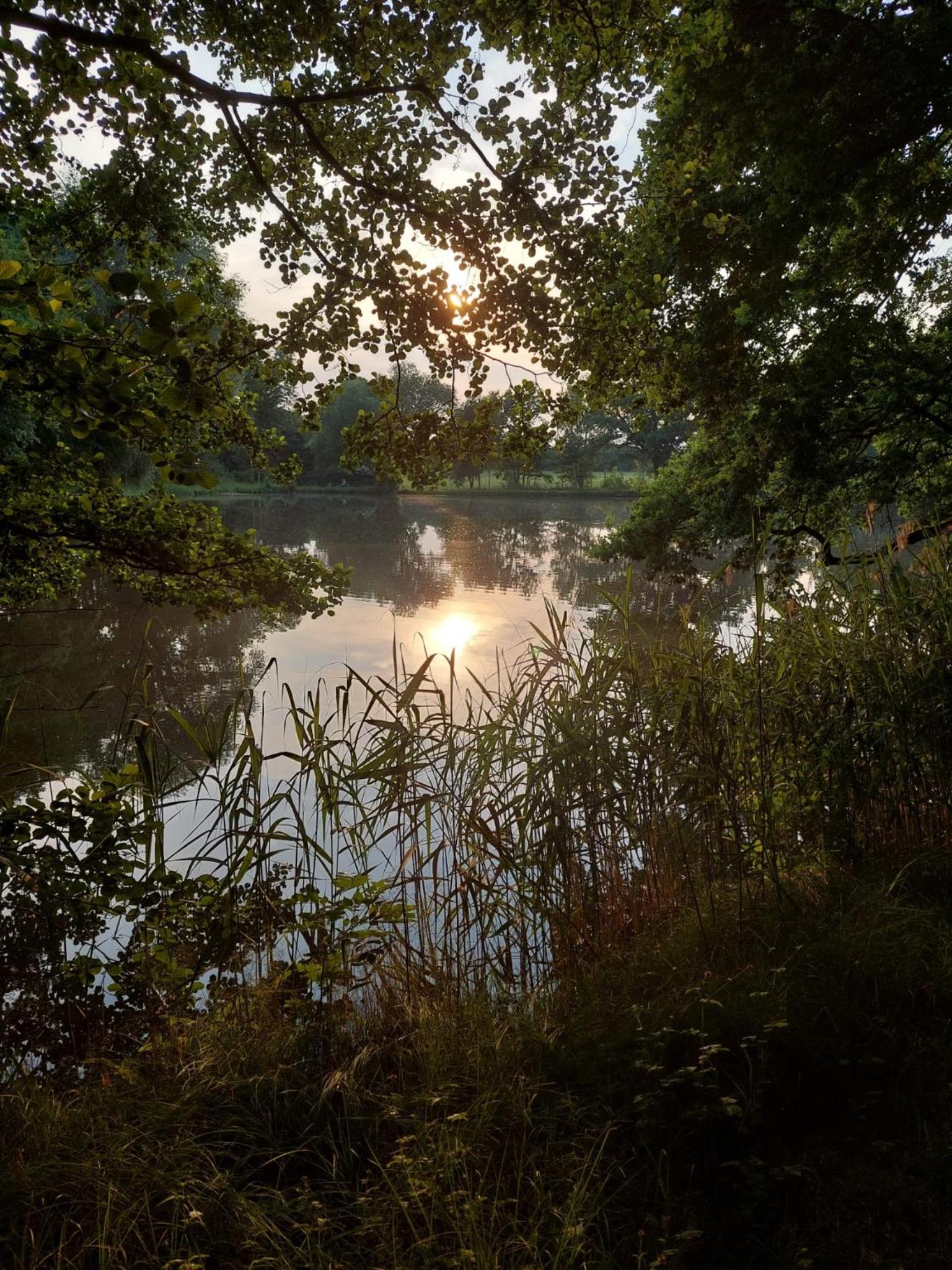 Ferienwohnung Am Bürgerteich