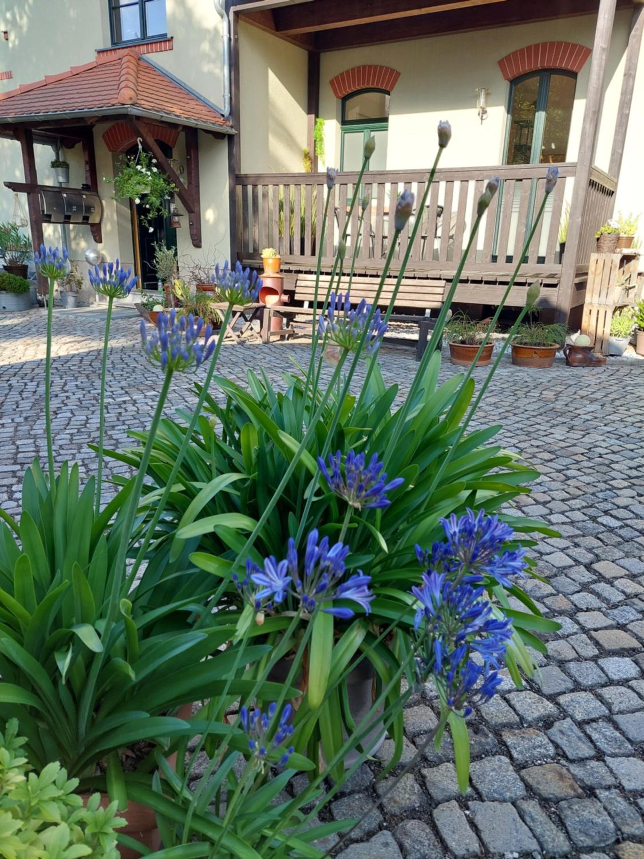 Ferienwohnung Am Bürgerteich en Bischofswerda — other