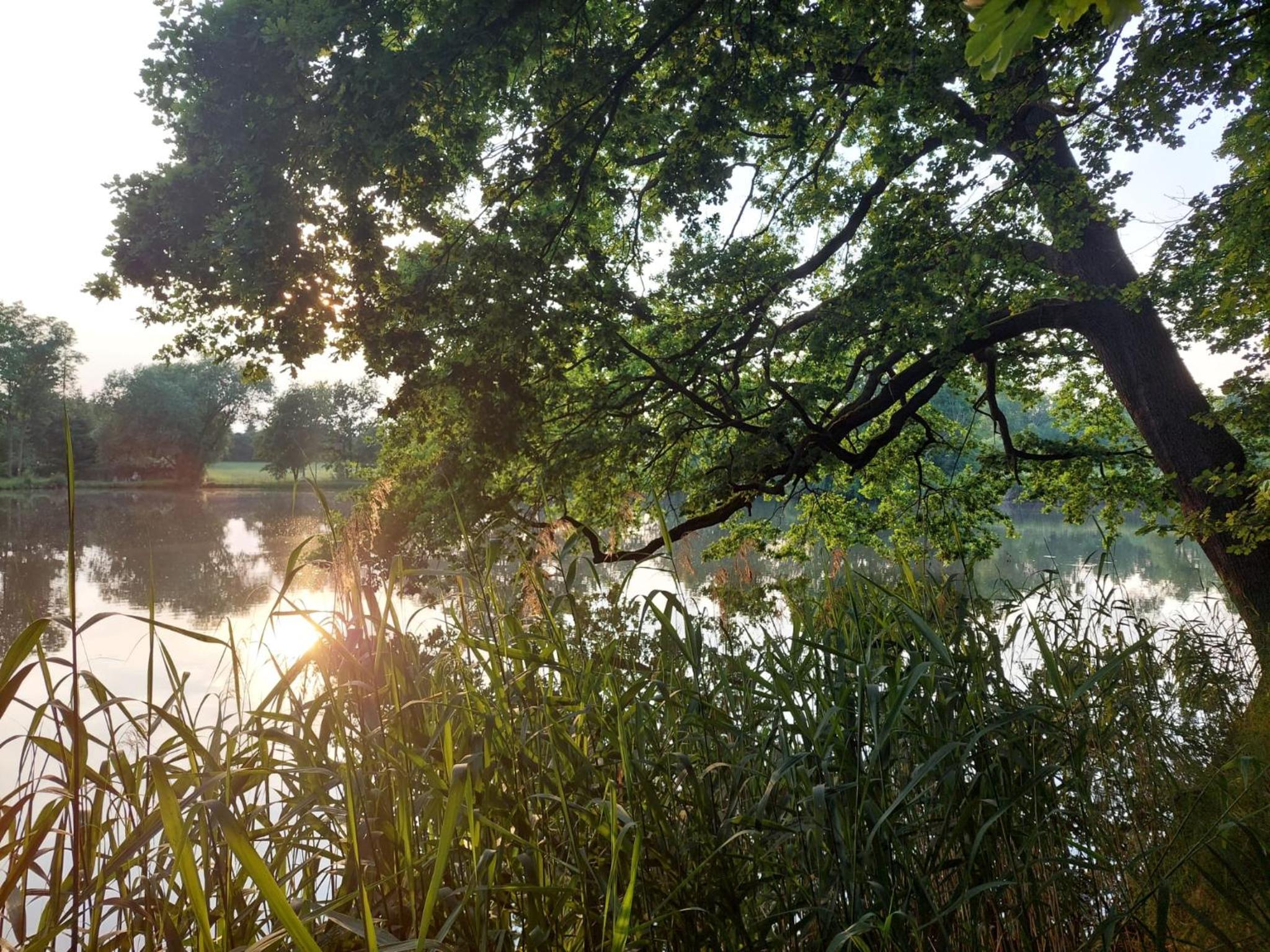 Ferienwohnung Am Bürgerteich