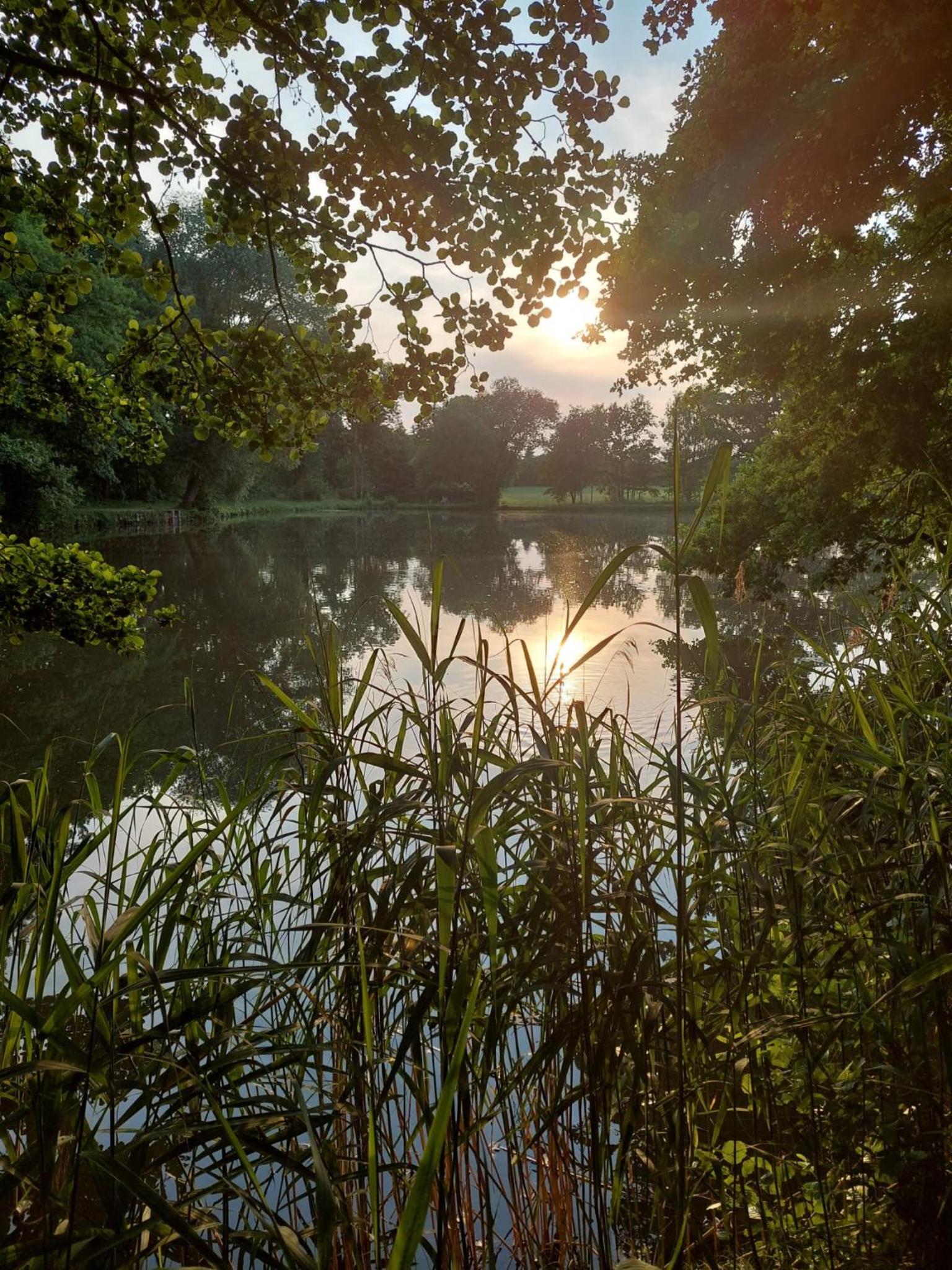 Ferienwohnung Am Bürgerteich