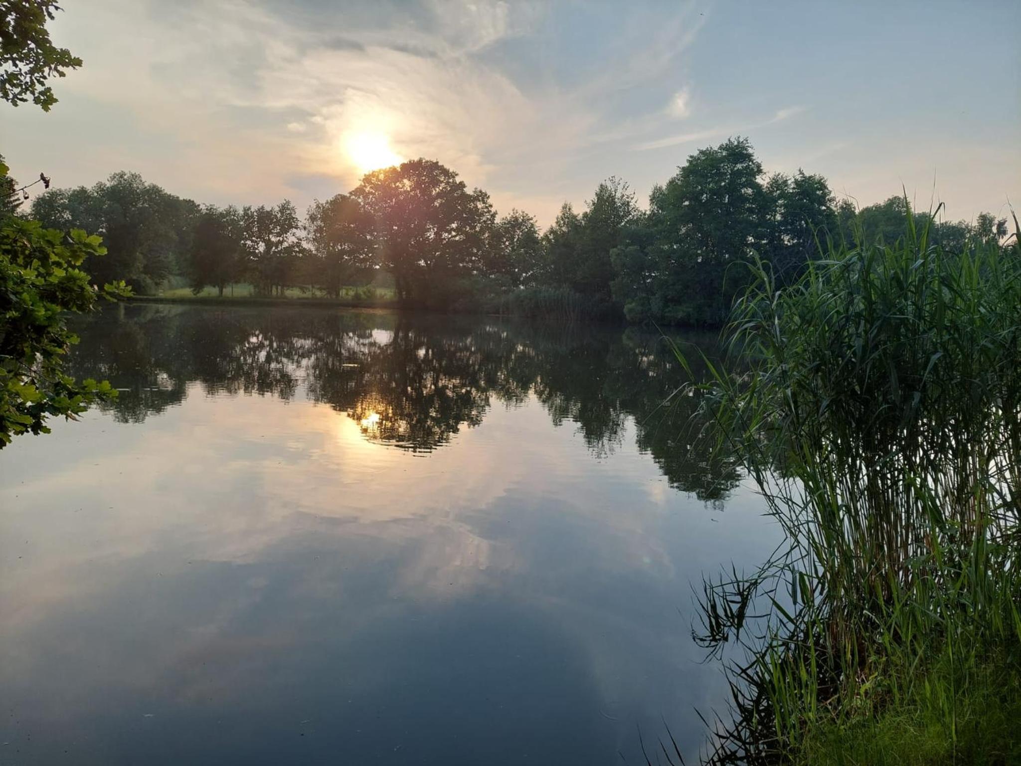 Ferienwohnung Am Bürgerteich