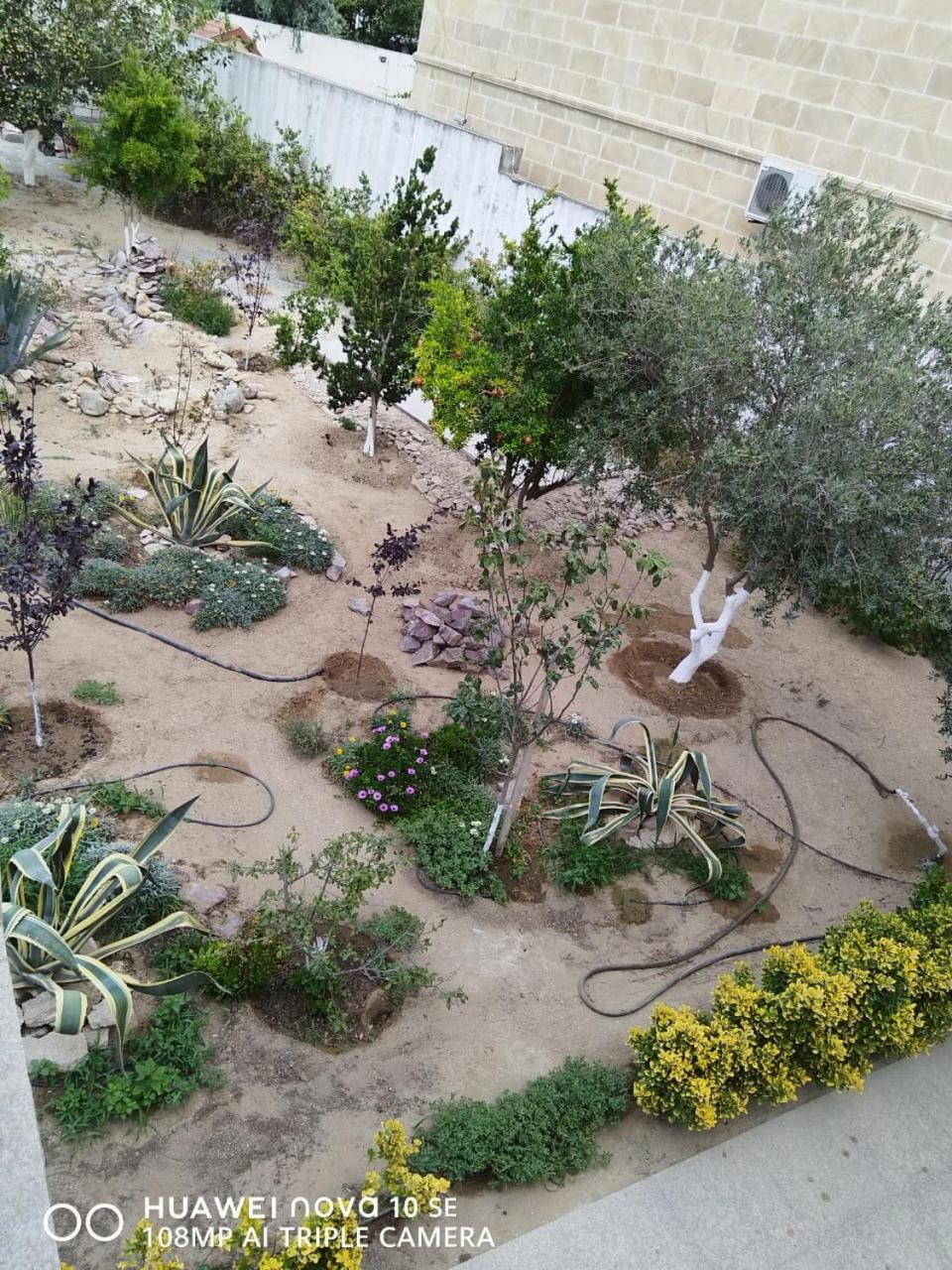 Garden View Seaside Guesthouse with Airport Transfer