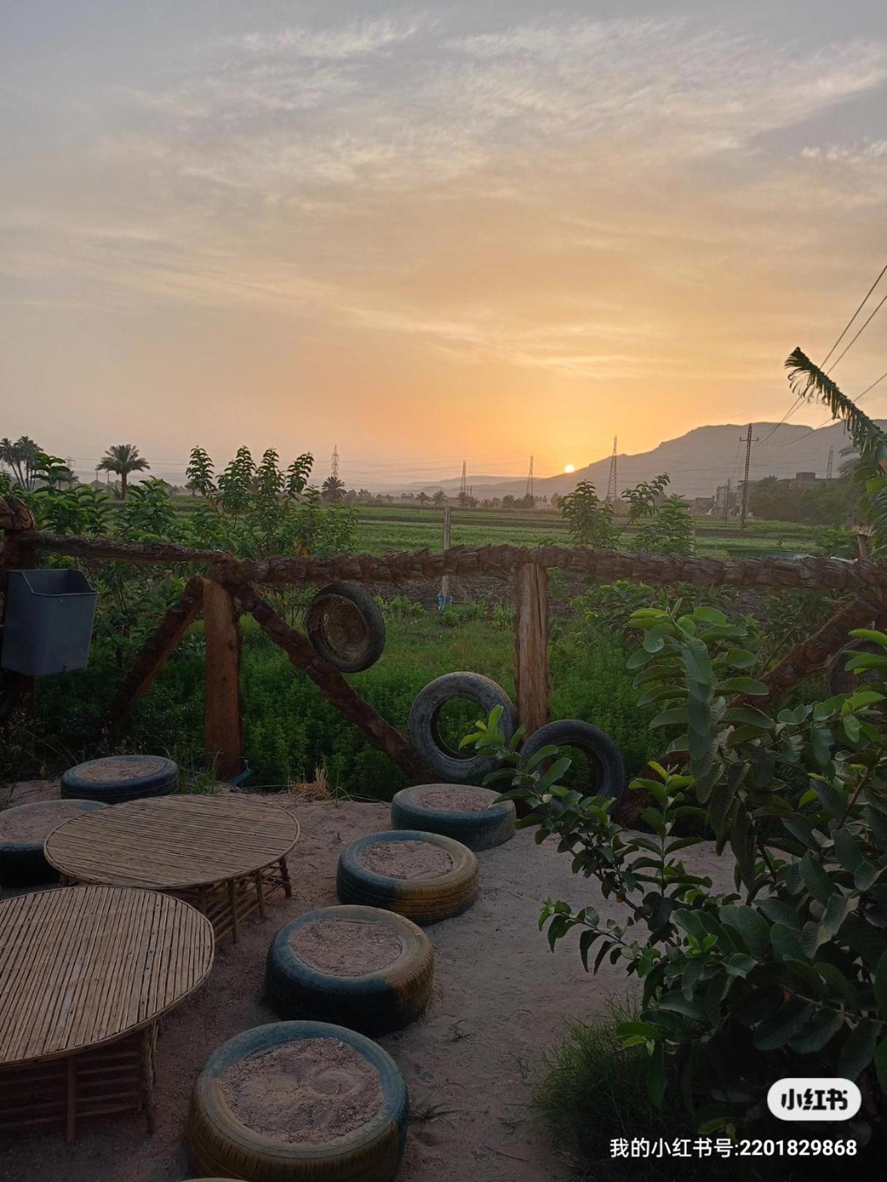 Bedouin Lodge Luxor