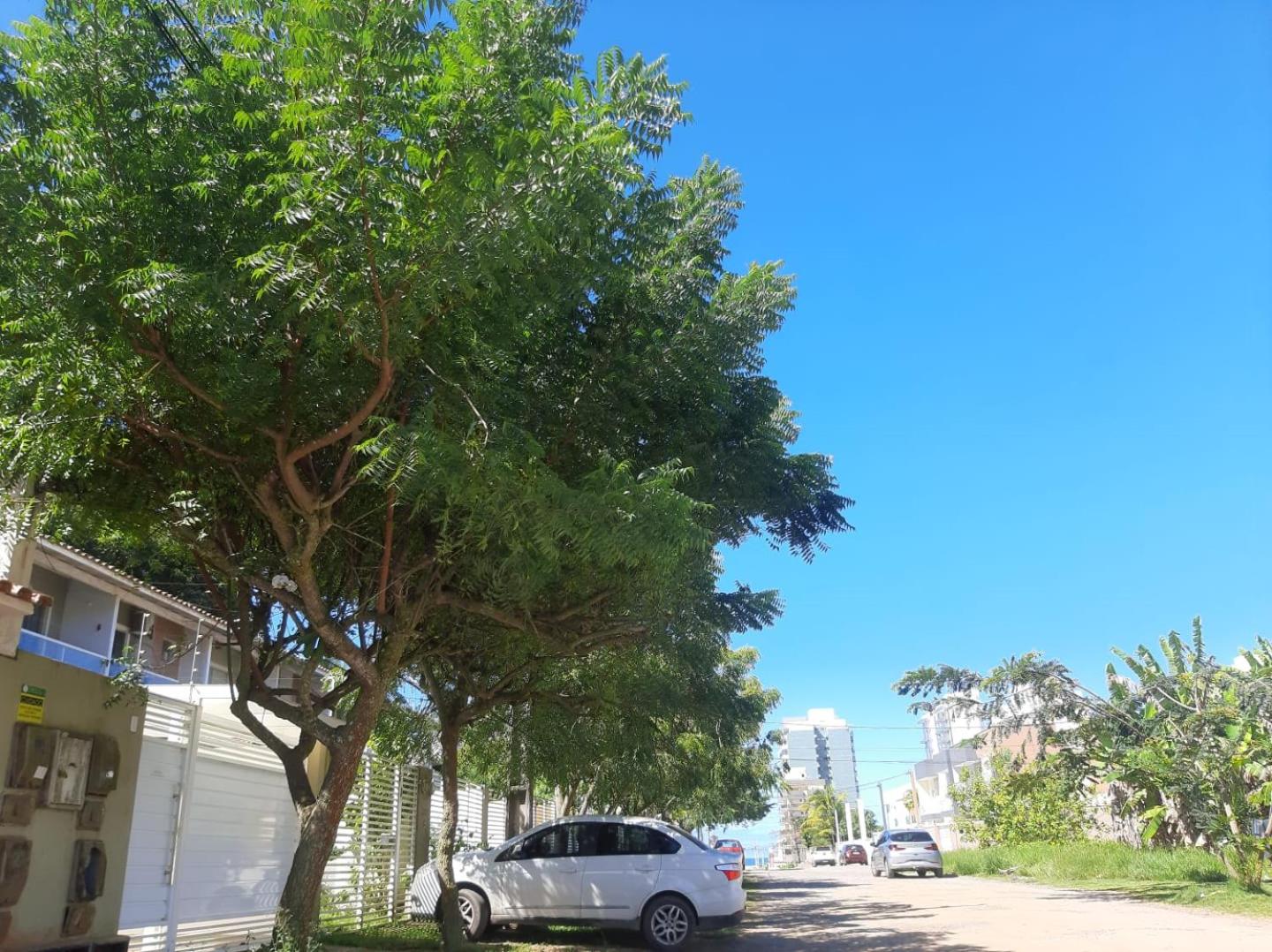 Village Praia Dourada - Praia dos Milionários