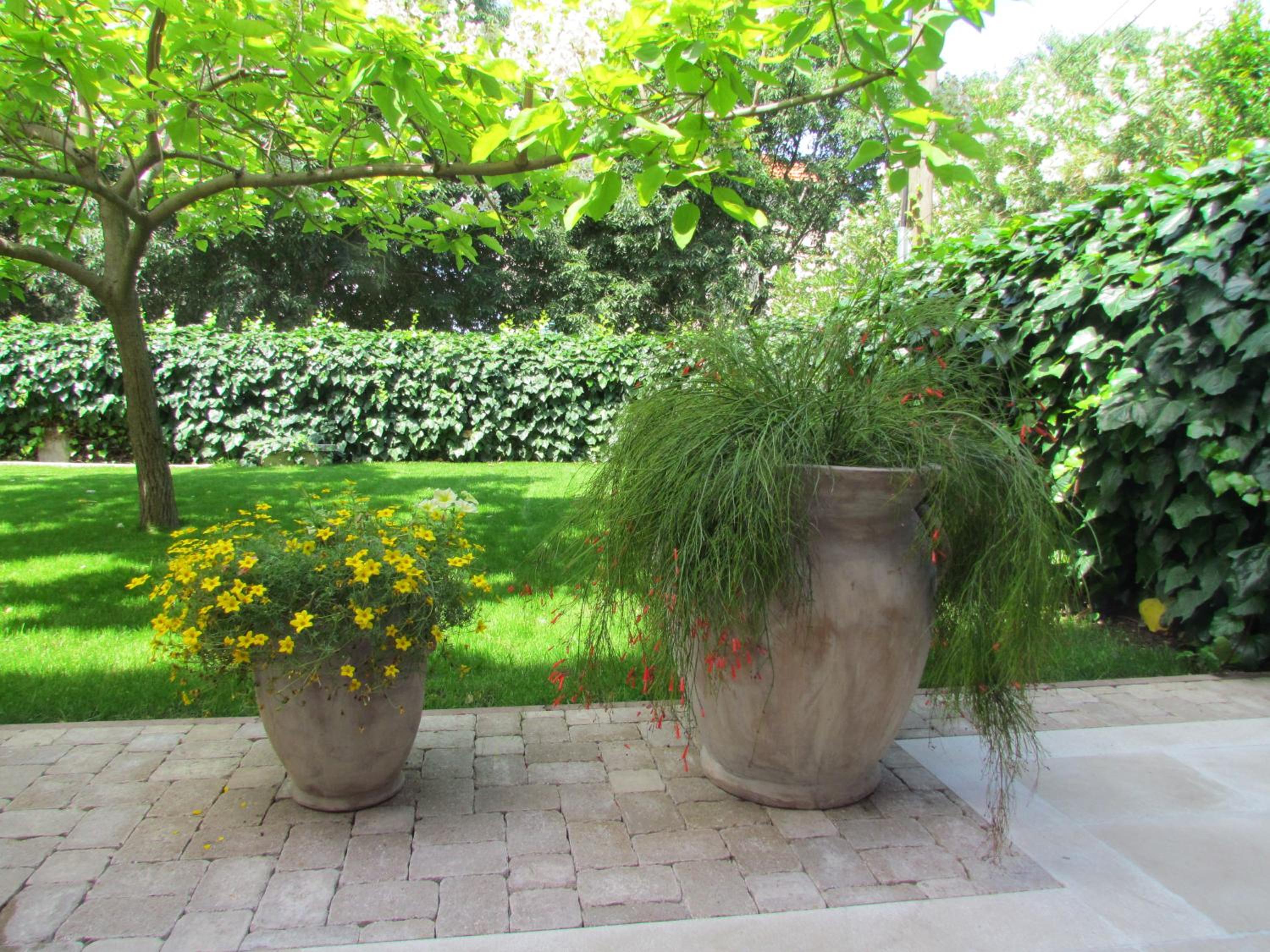 Photo 35