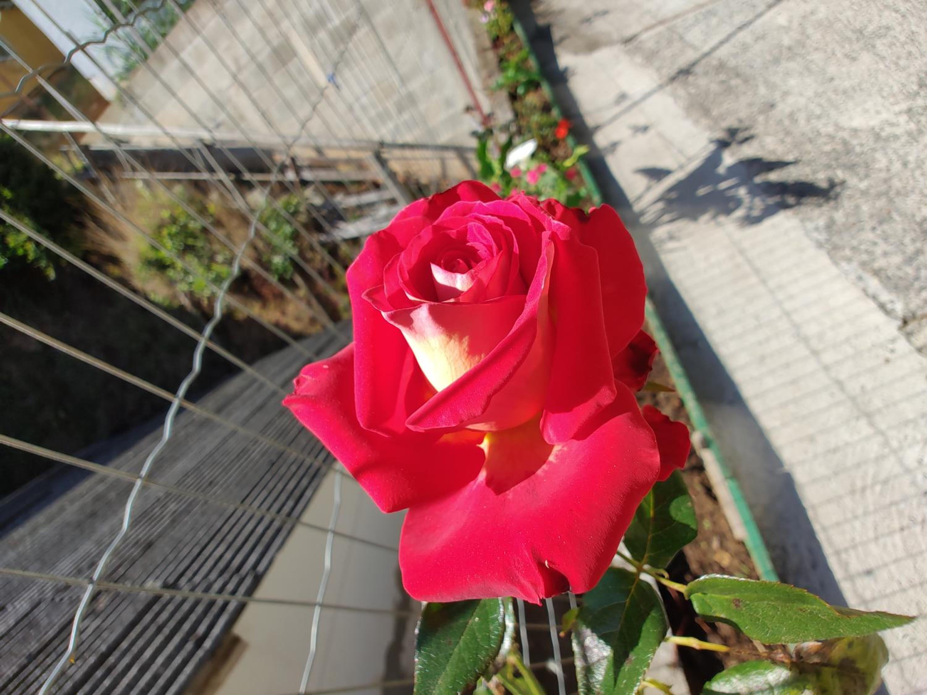 Pousada Solar das Flores Maringá RJ Visconde de Mauá