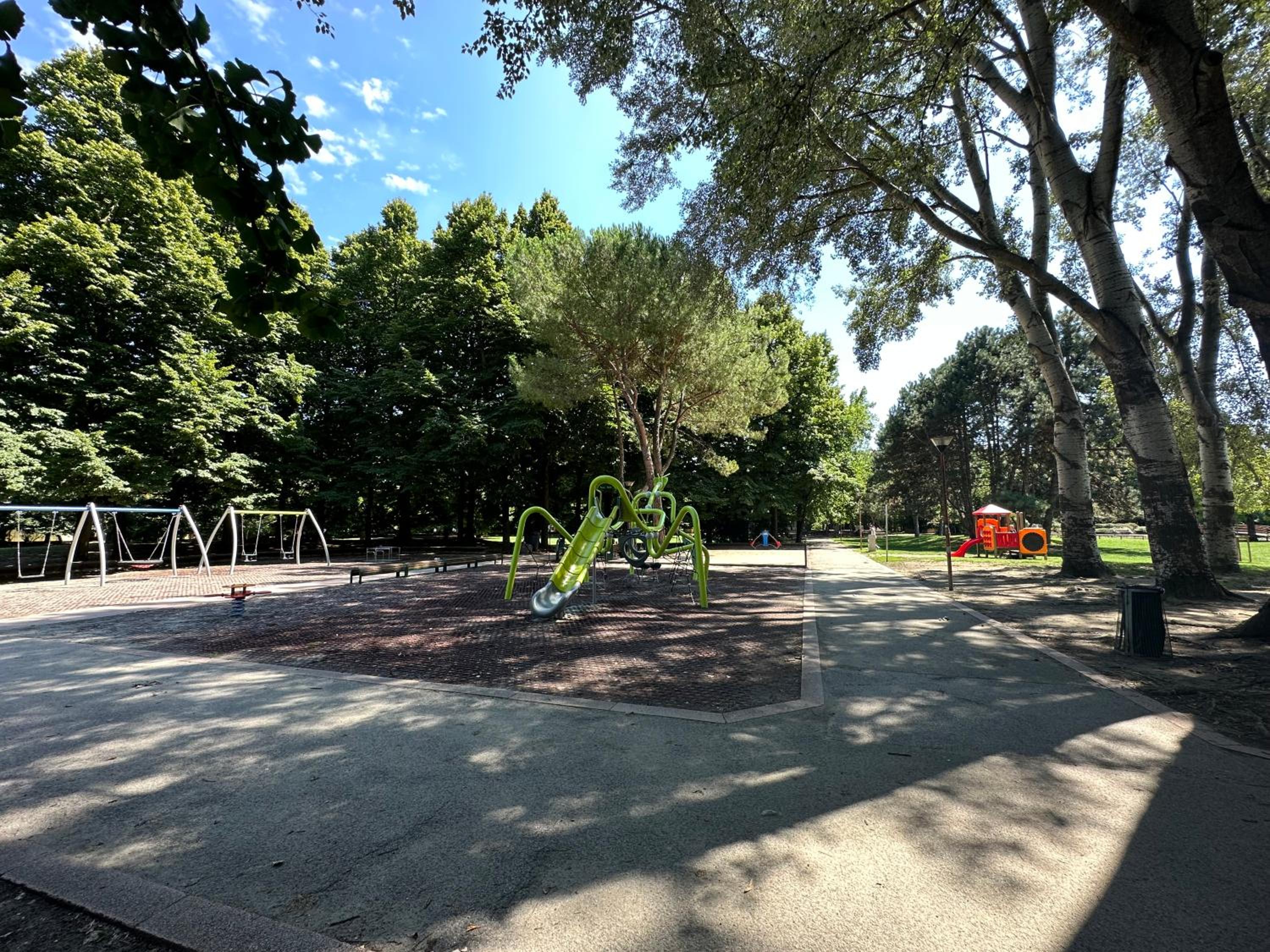 Photo 19