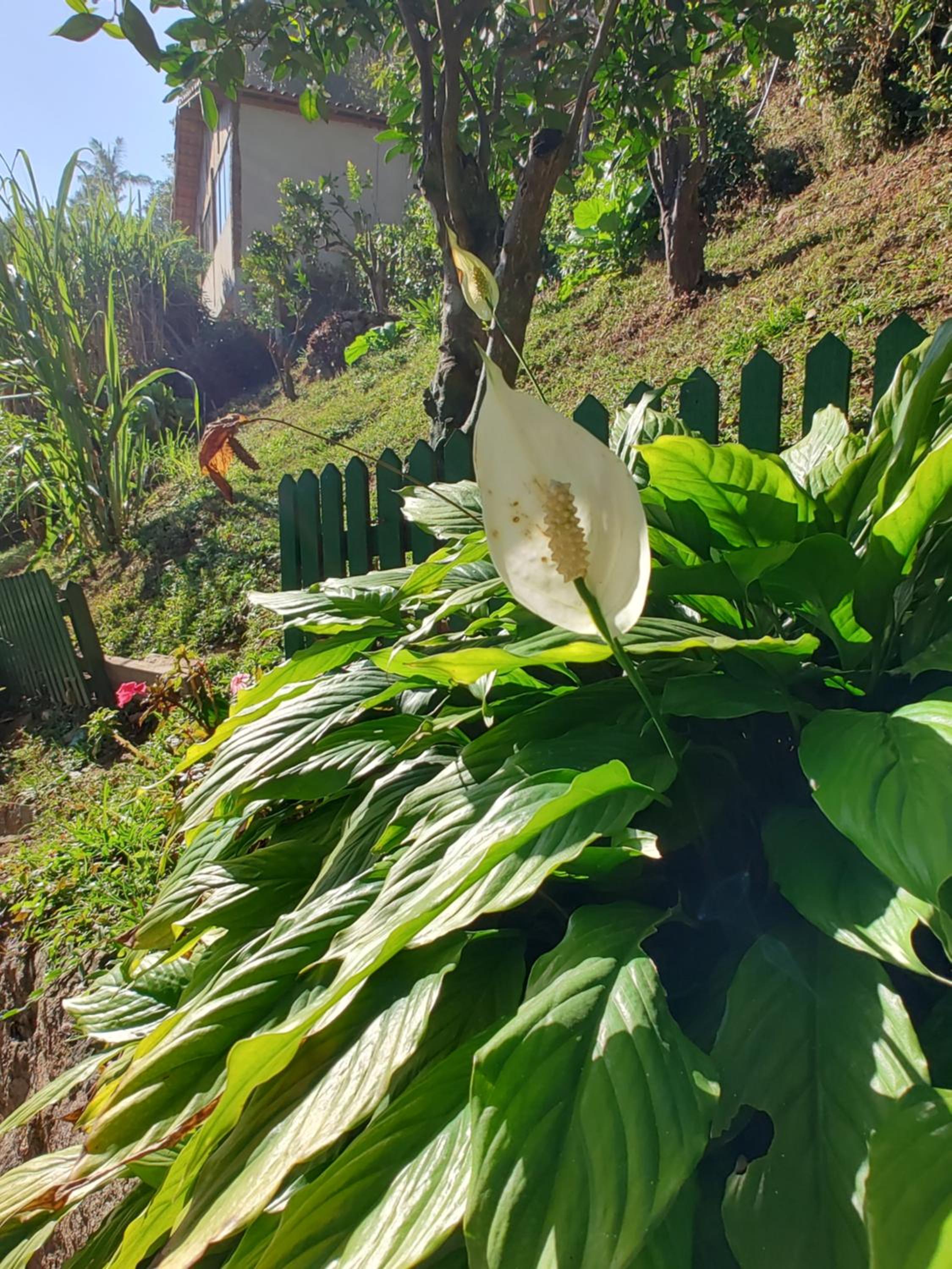 Pousada Solar das Flores Maringá RJ Visconde de Mauá