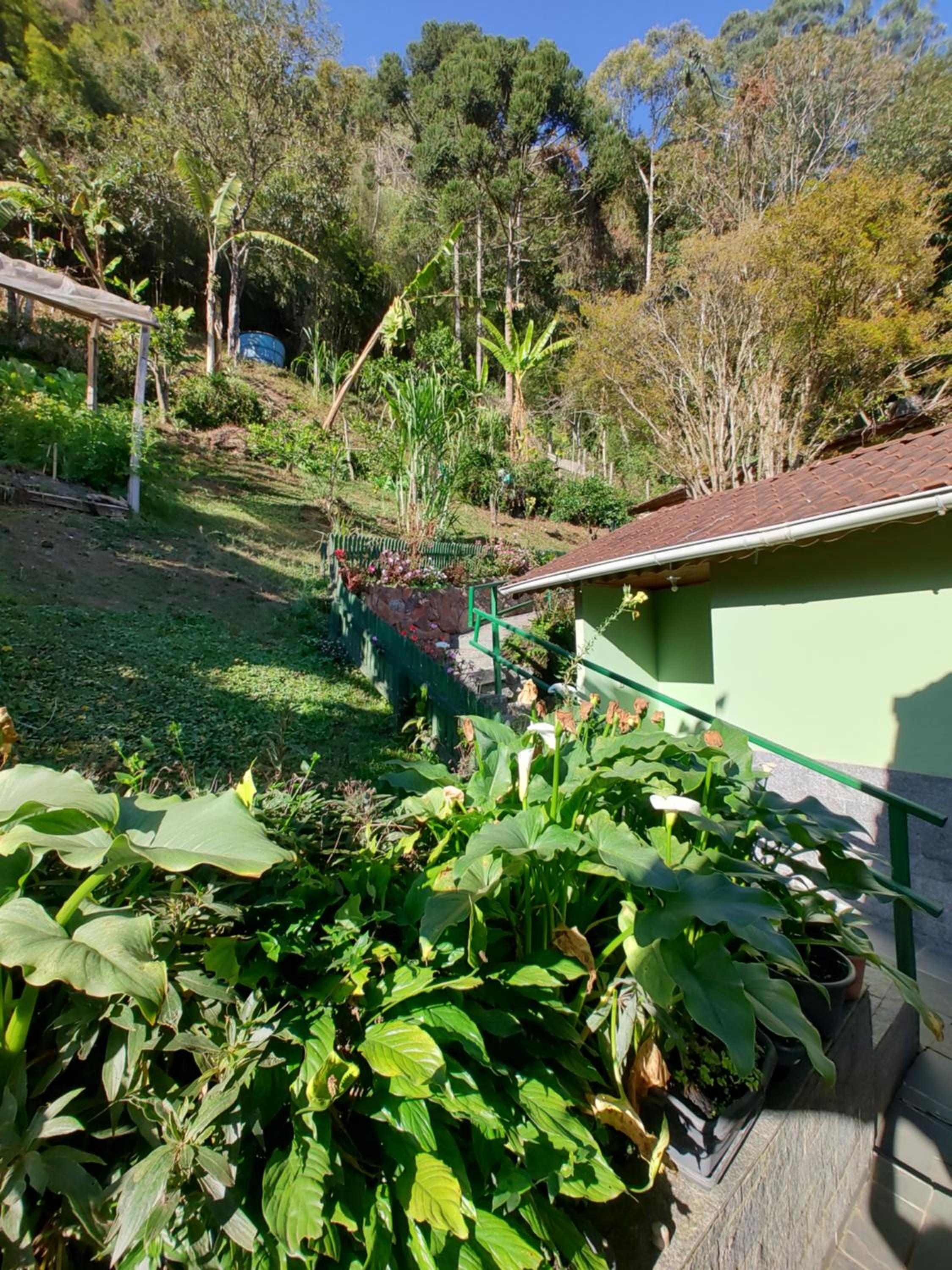 Pousada Solar das Flores Maringá RJ Visconde de Mauá
