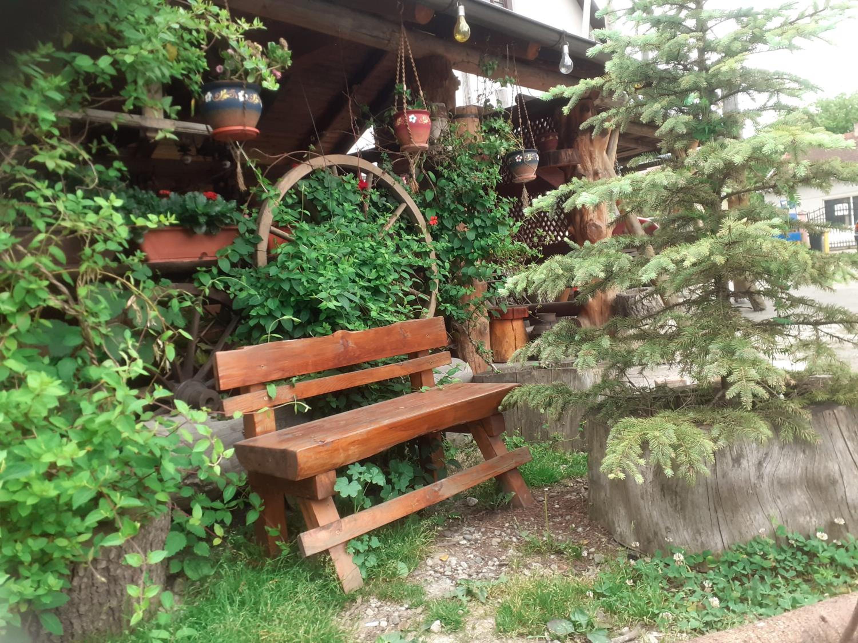 Photo 21