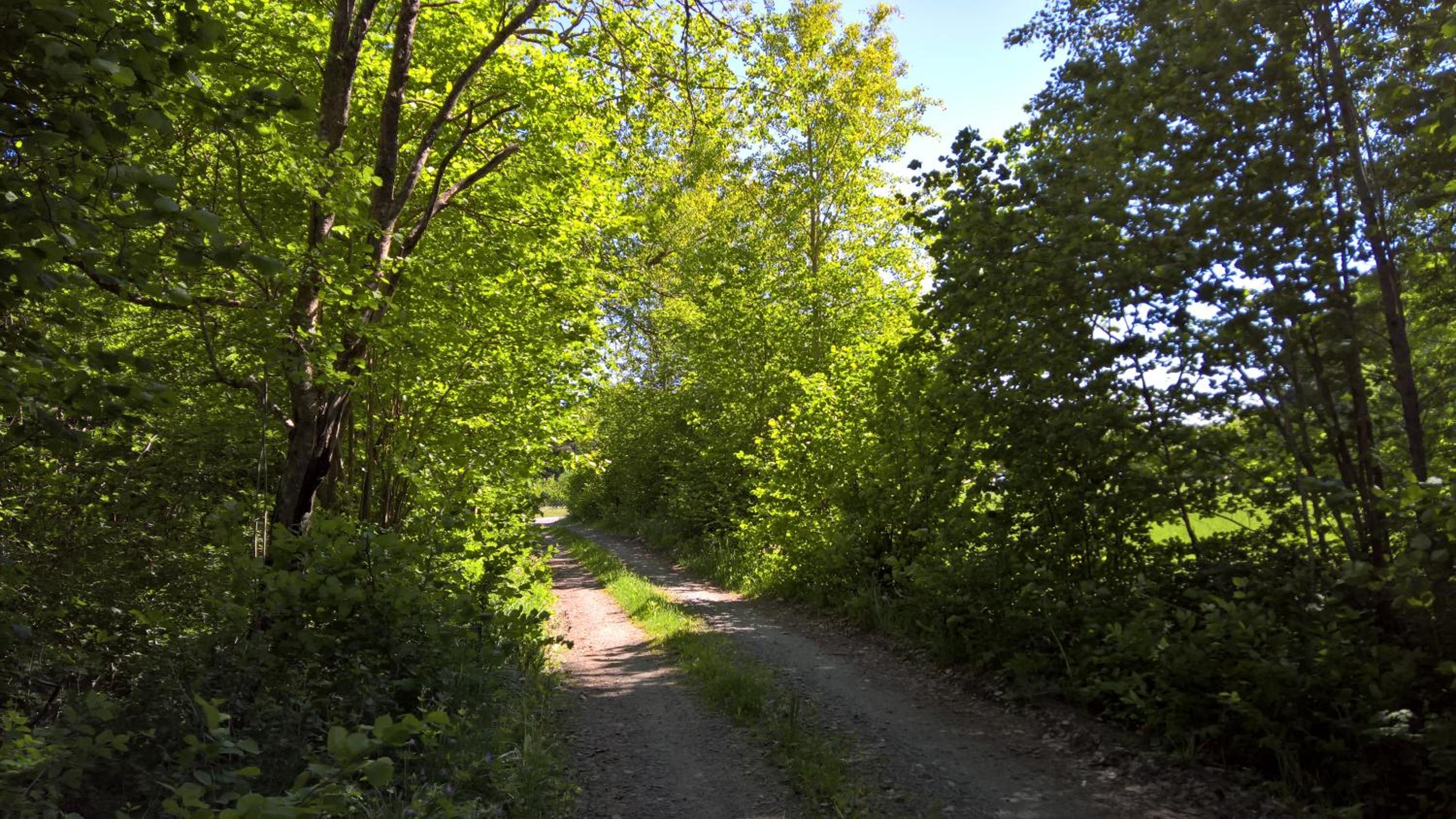 Photo 20