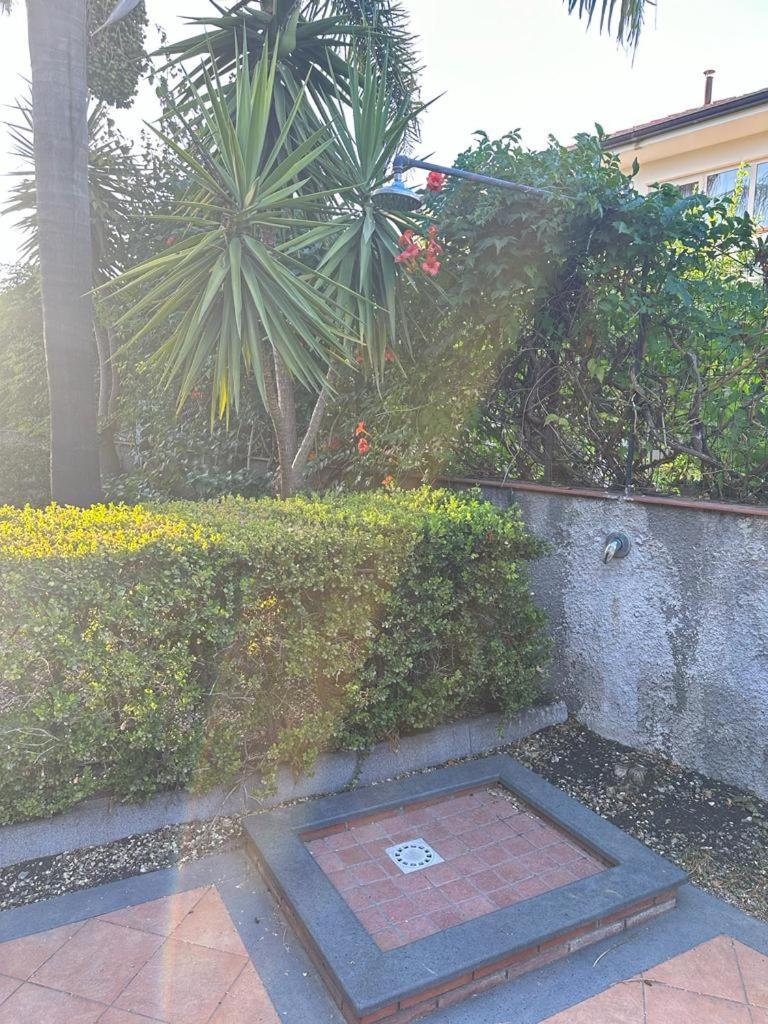 Casa vacanza Ylenia photo 4