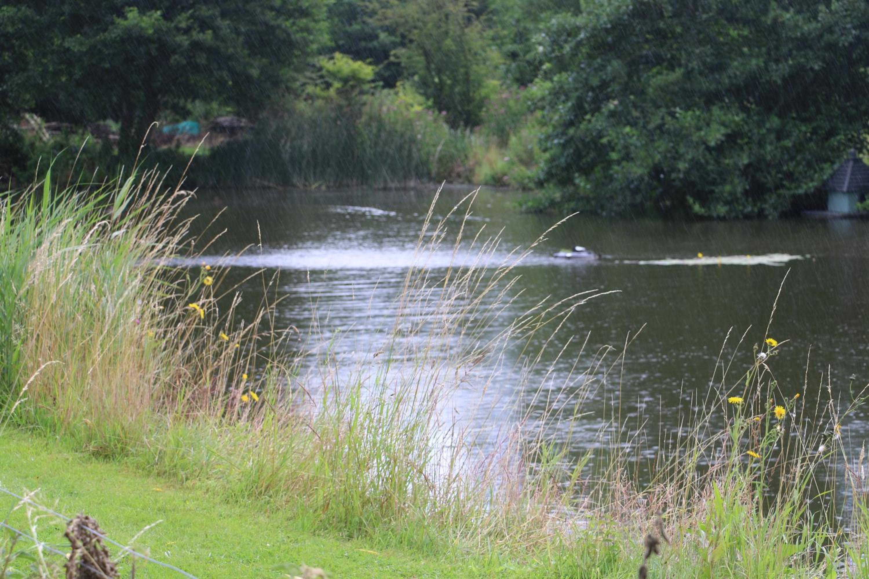 The Lodge - 2 acres of garden with hot tub and fire pit and BBQ view 2