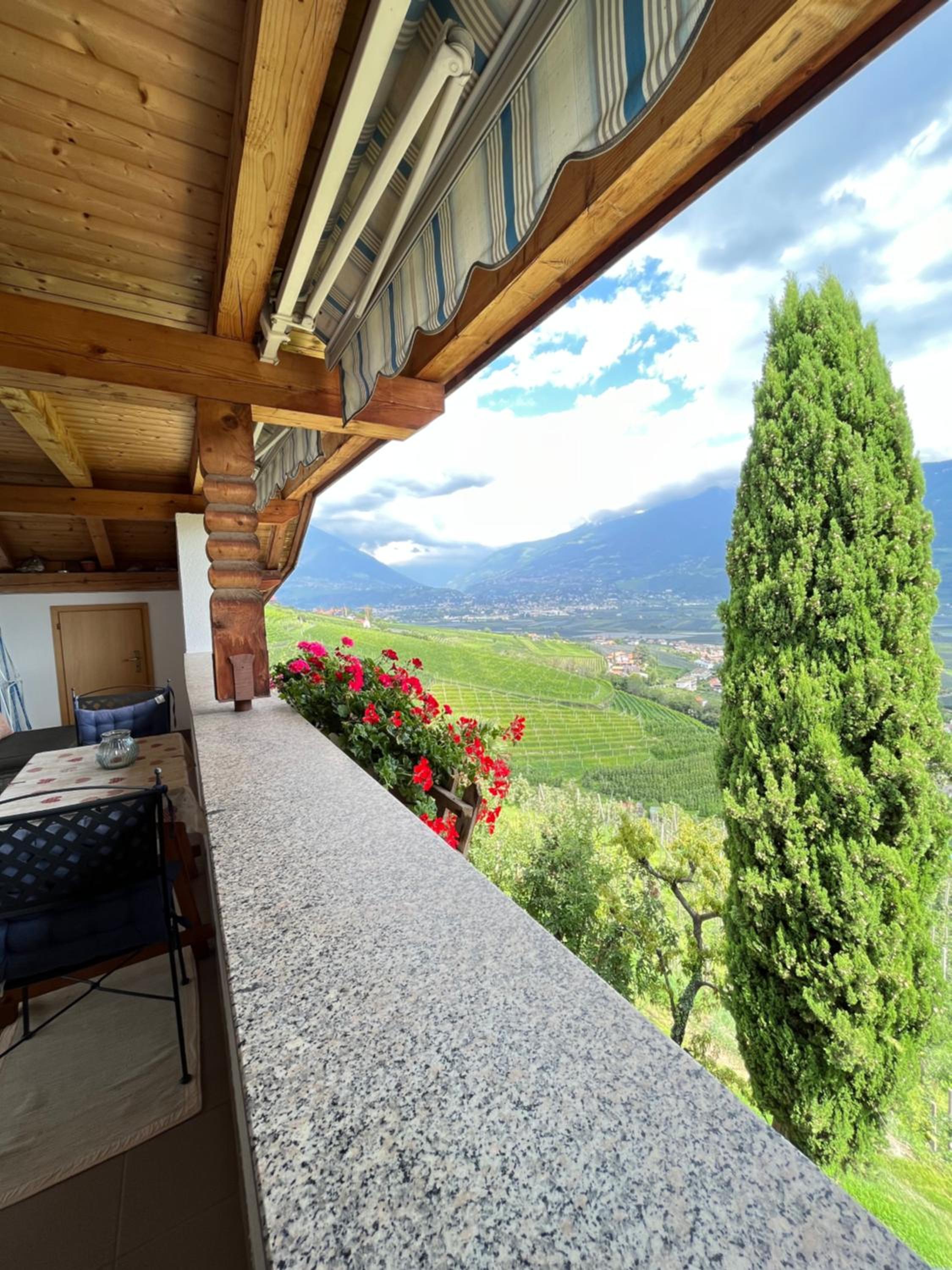 Schwaningerhof view 5