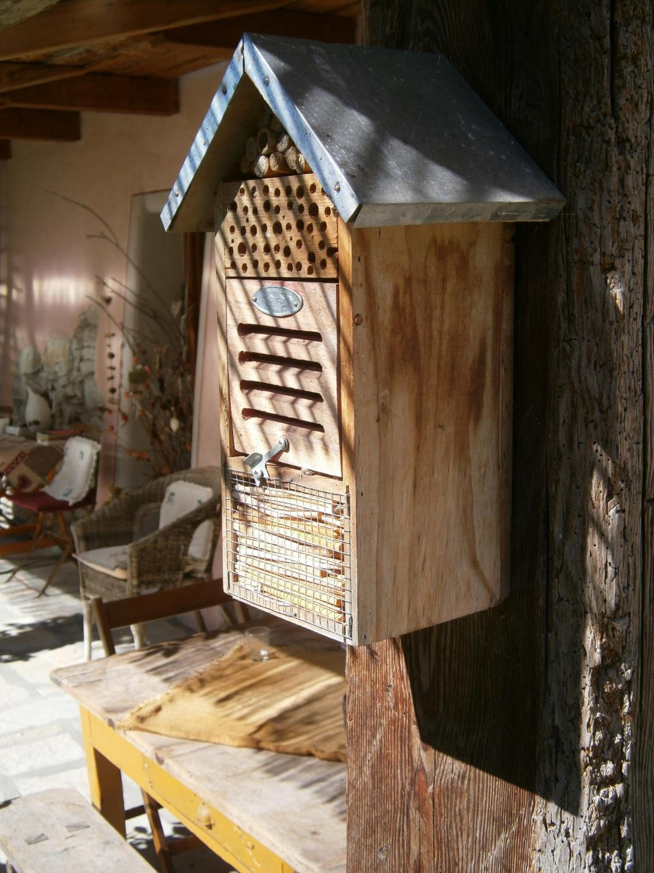 Photo 18