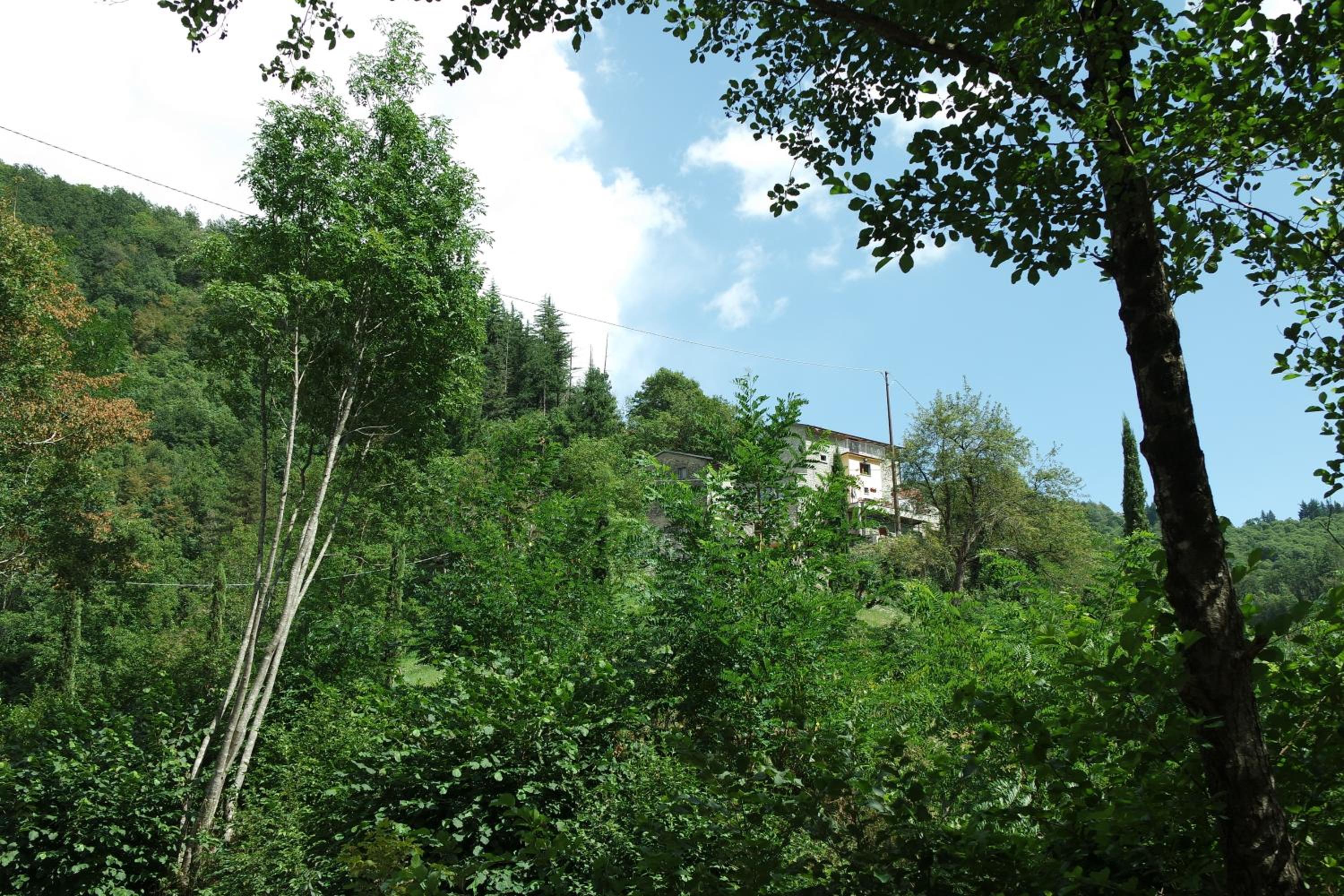 Photo 22