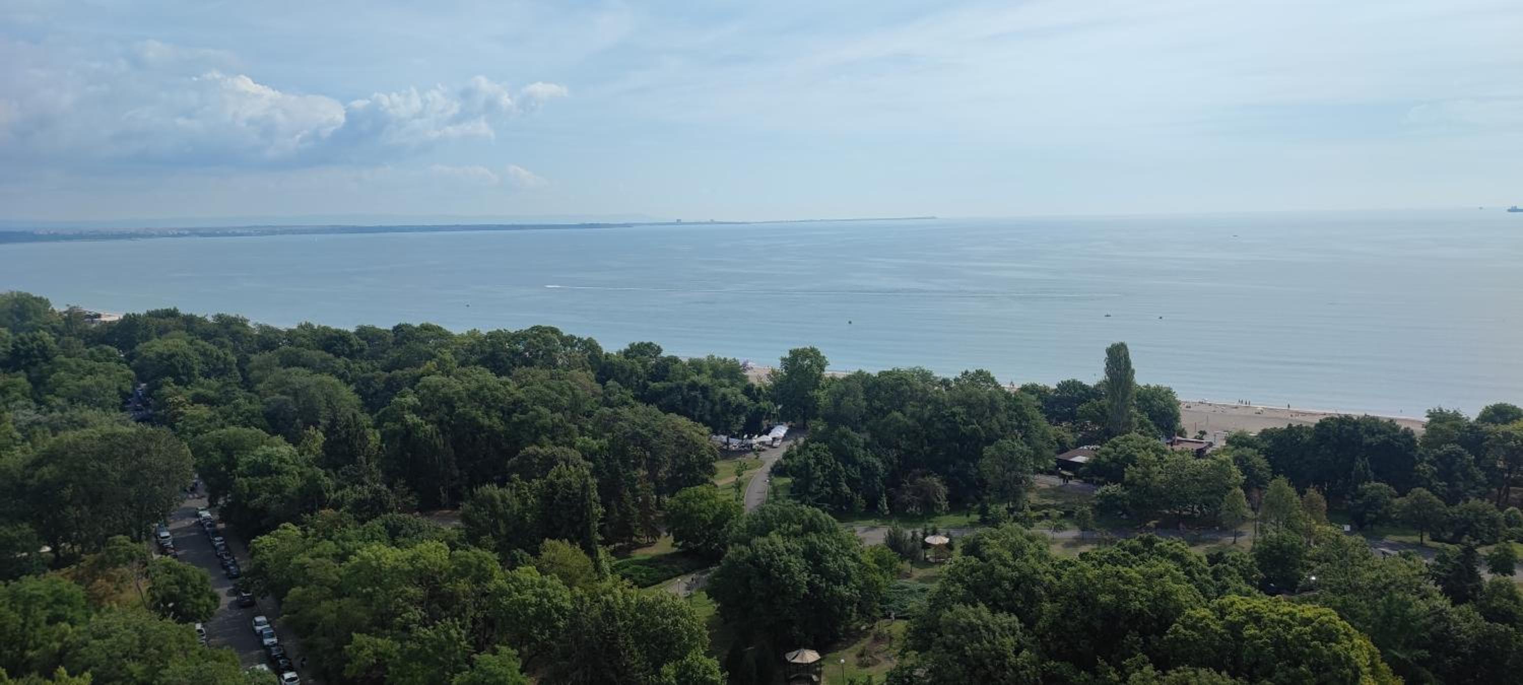 SEA VIEW FLORA