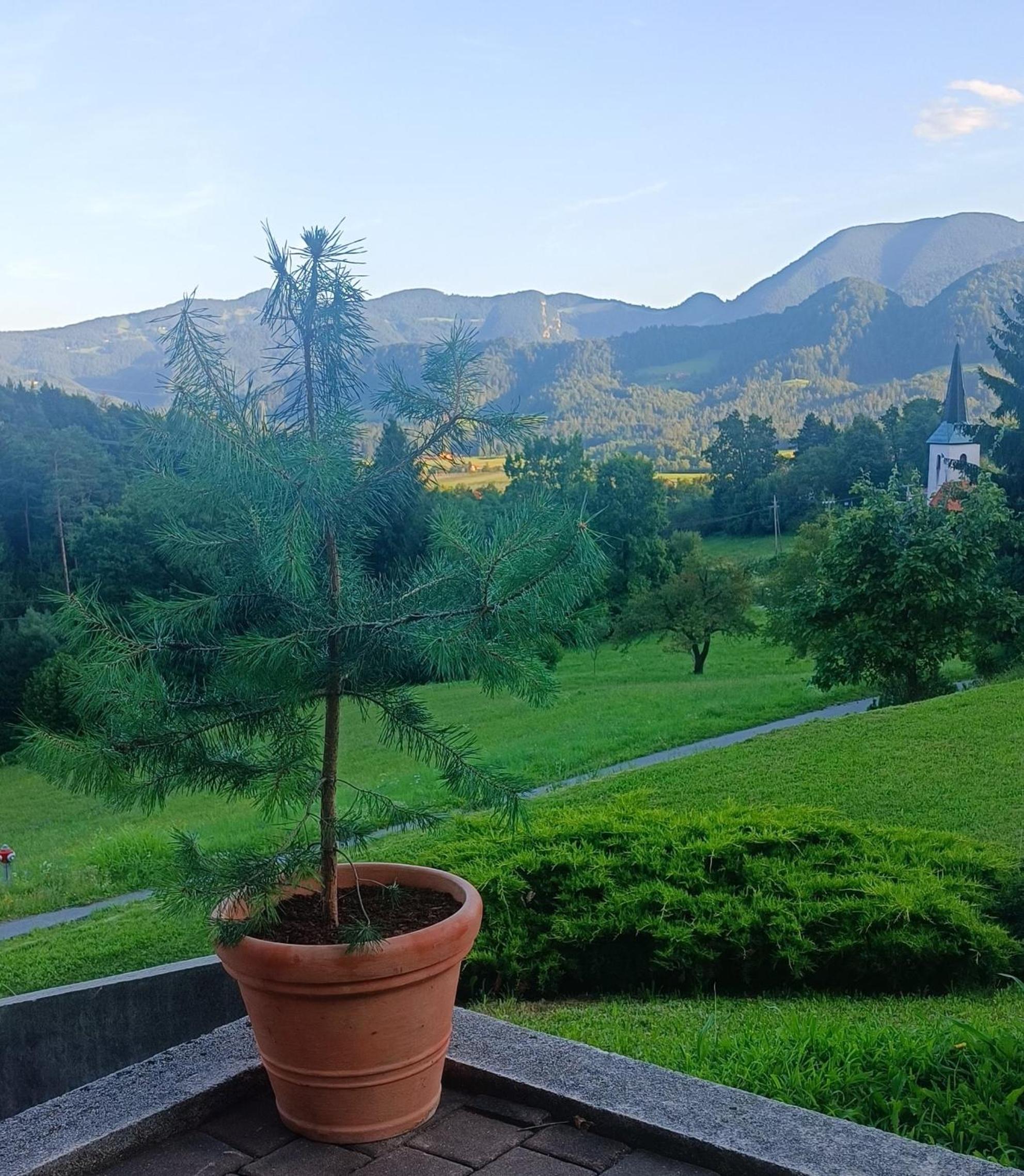 Photo 17