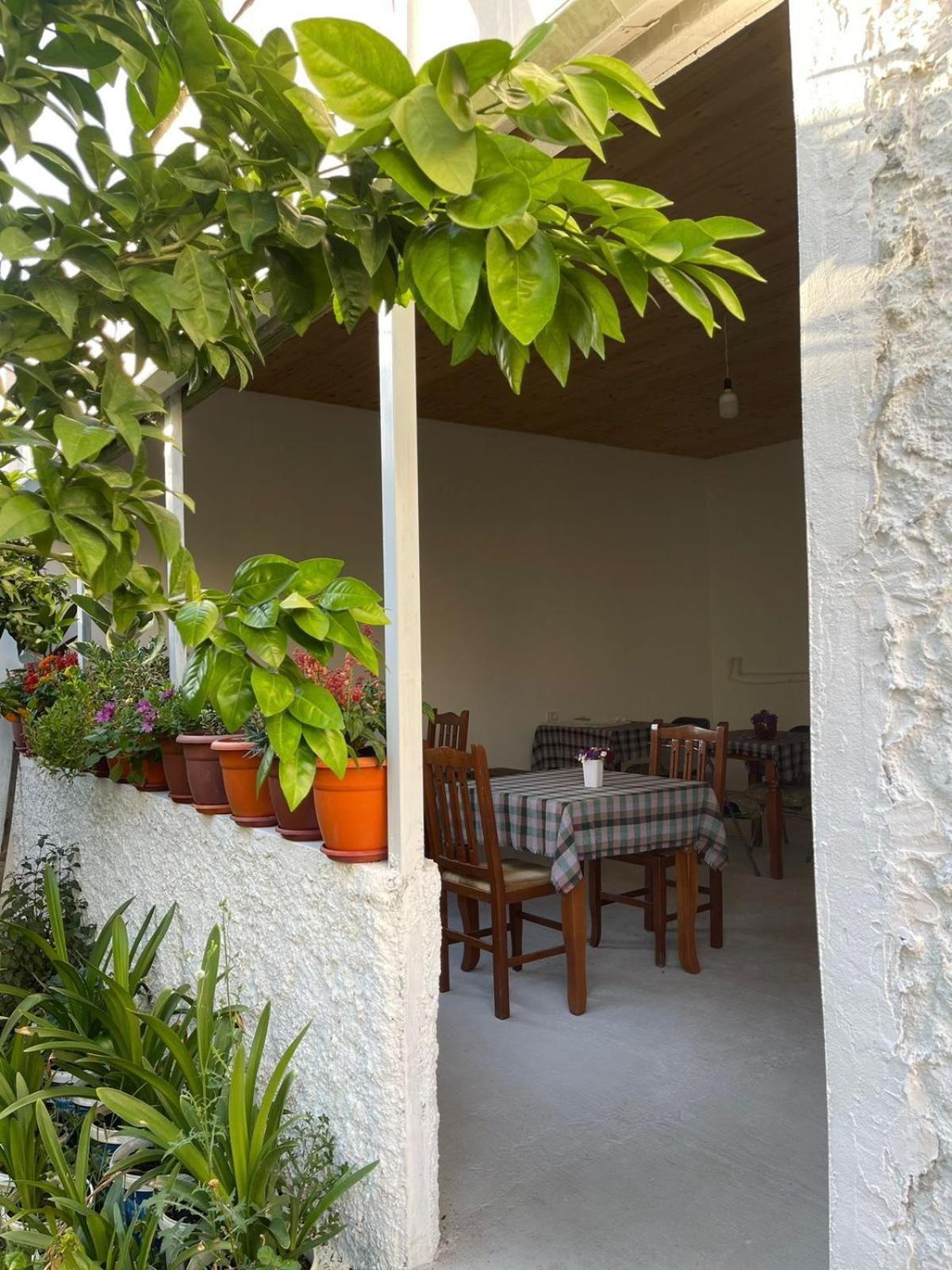 Villa Oasis