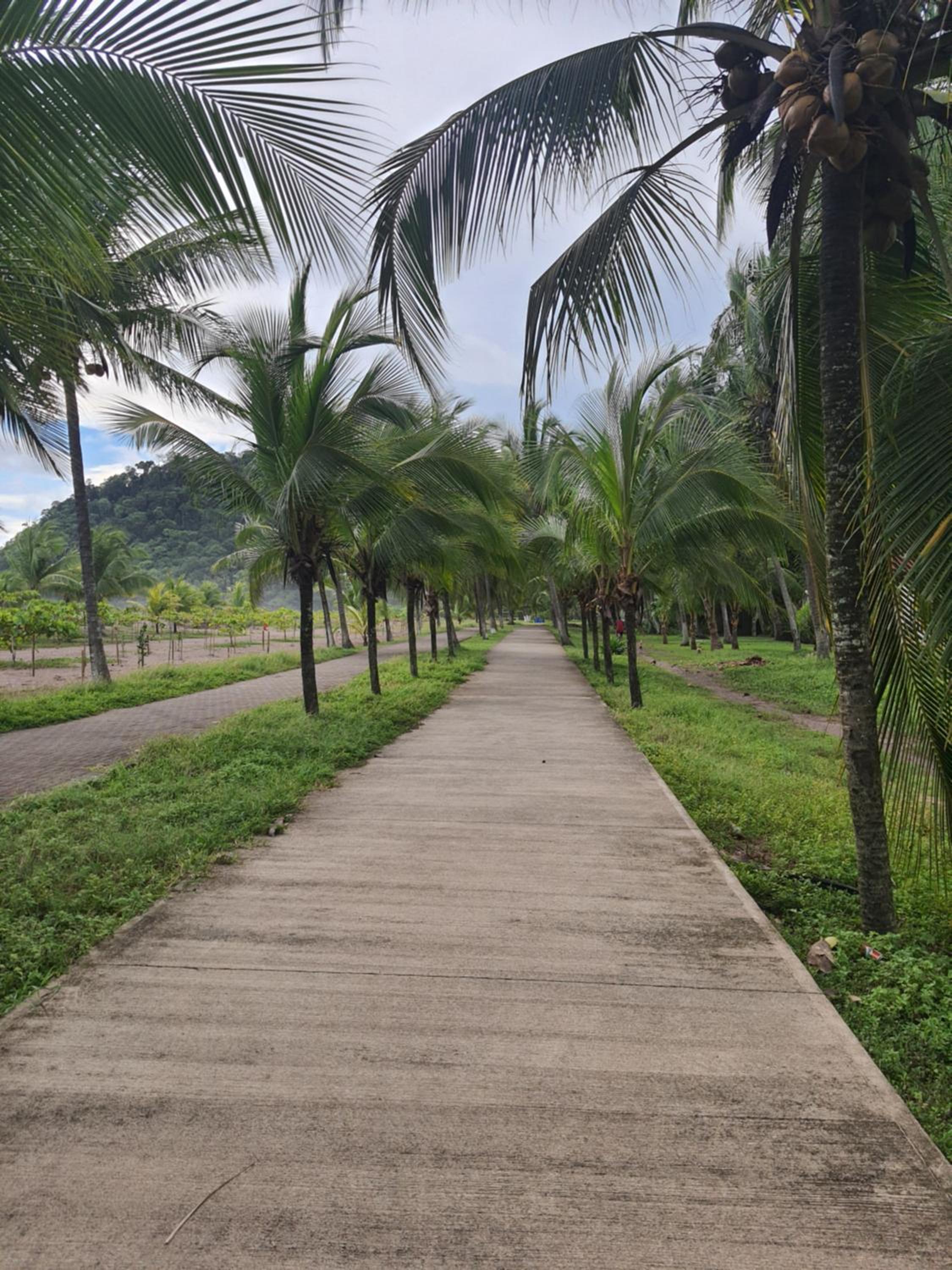 Paradise Jaco Beach Apartment