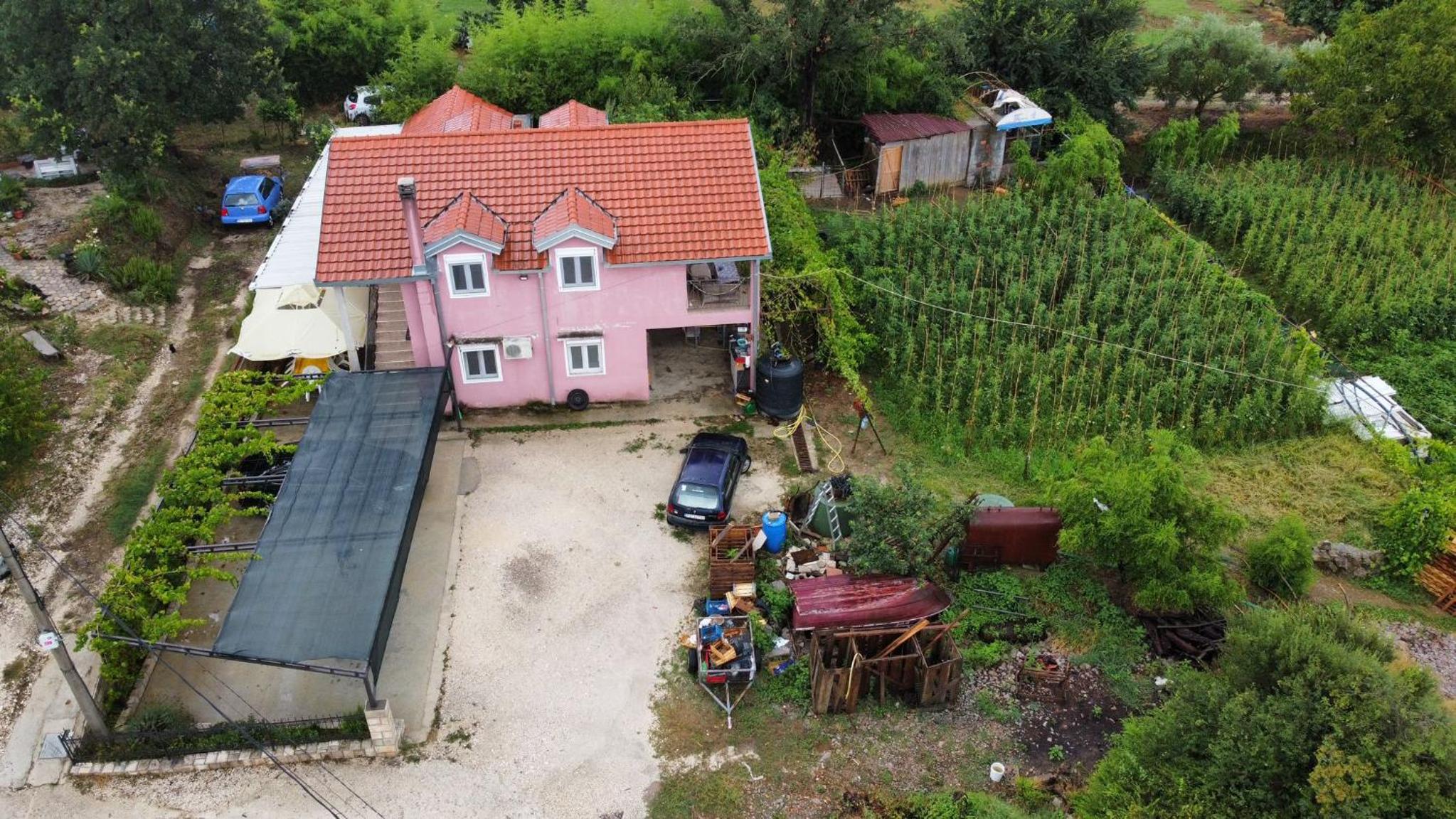 Apartman Balsa