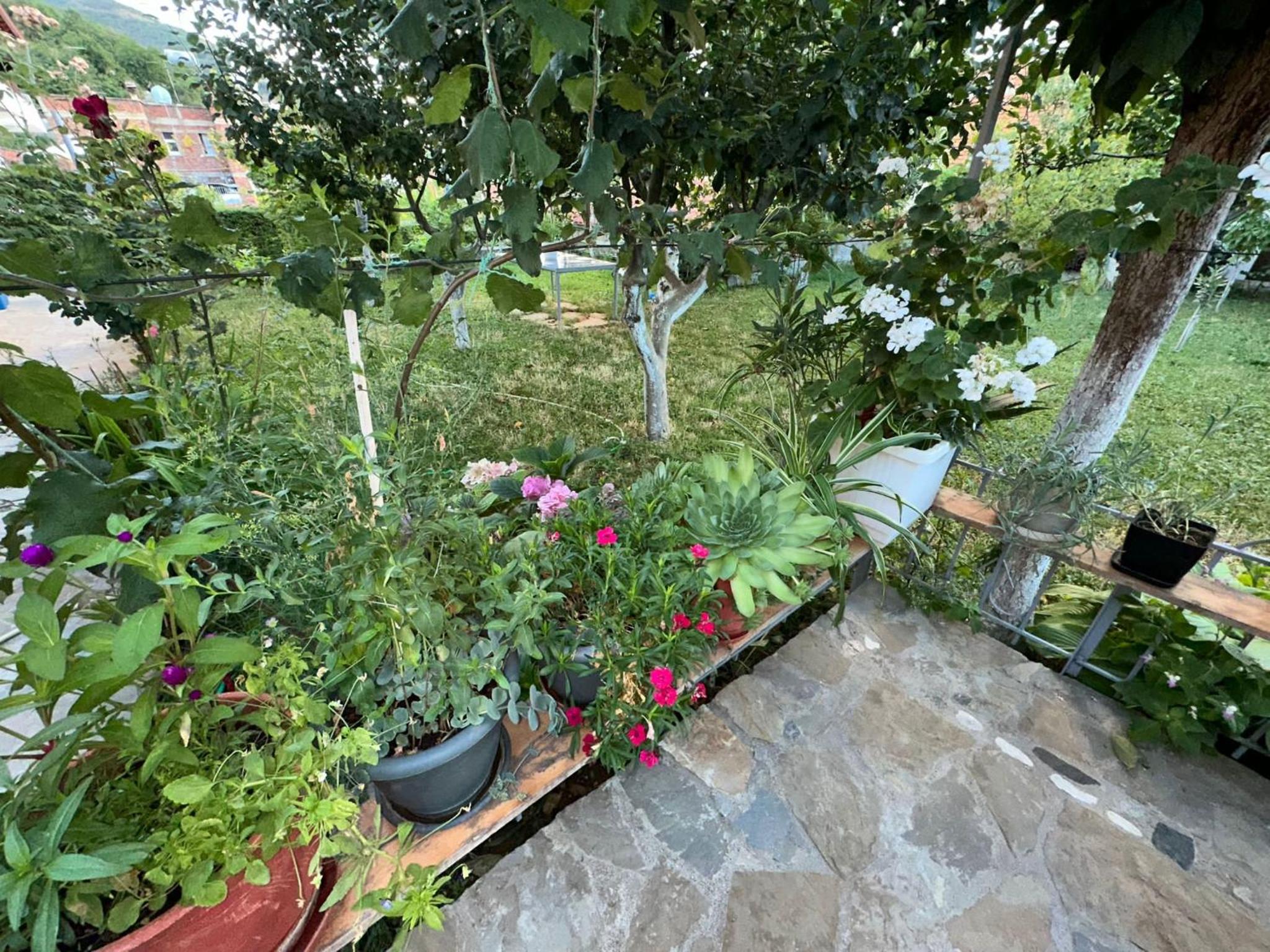 Gardenhouse
