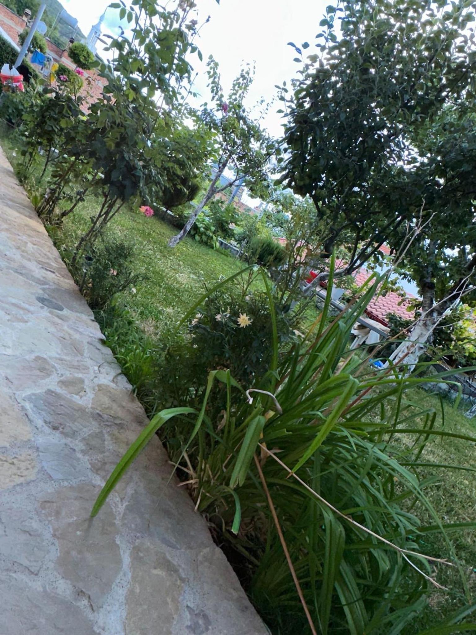 Gardenhouse