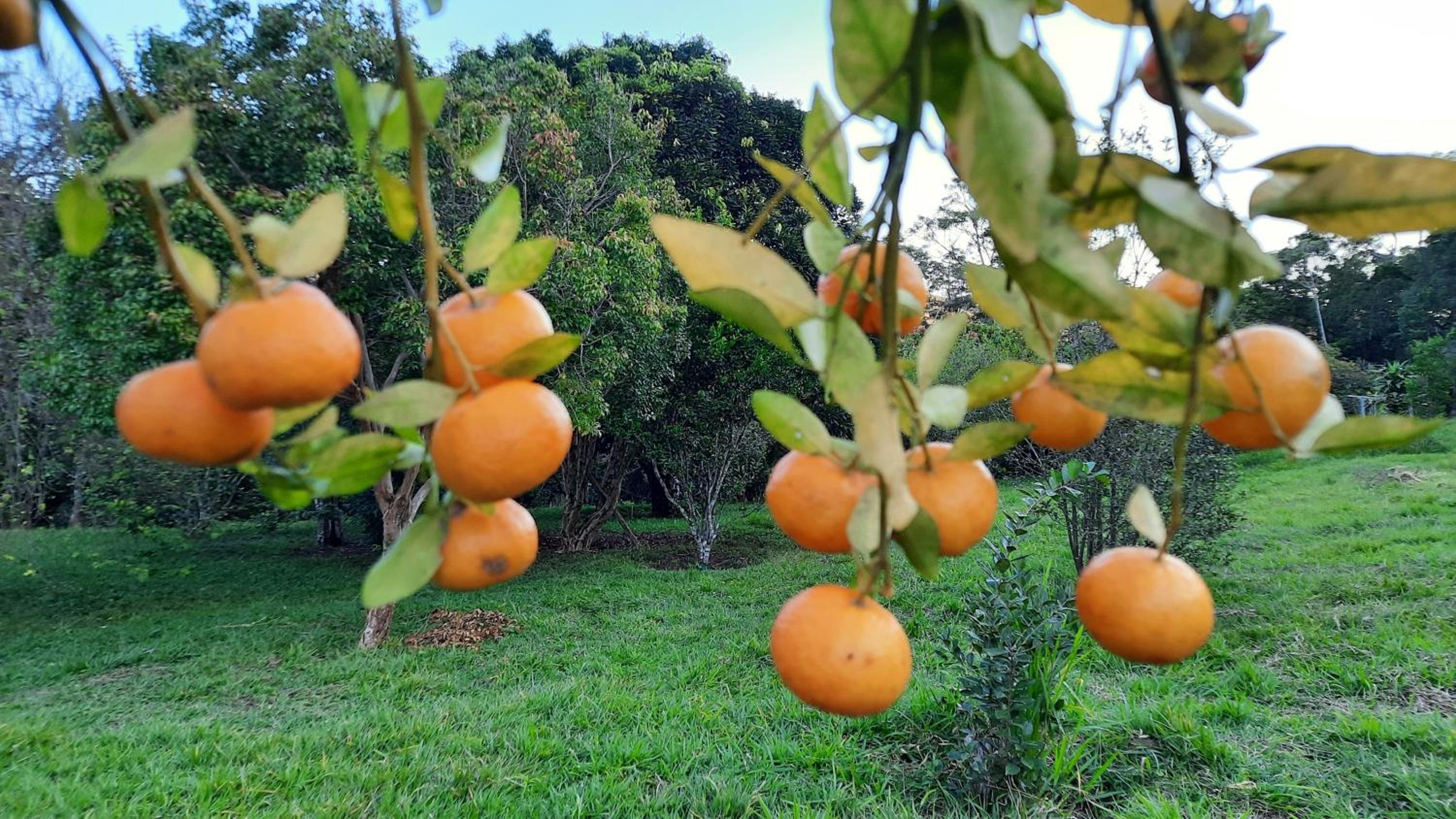 Fazenda Maria Faceira