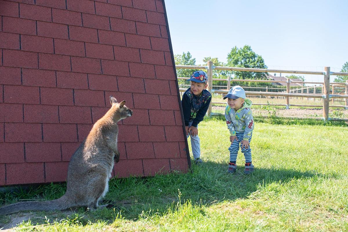 Wellness zoo apartmány Lhota