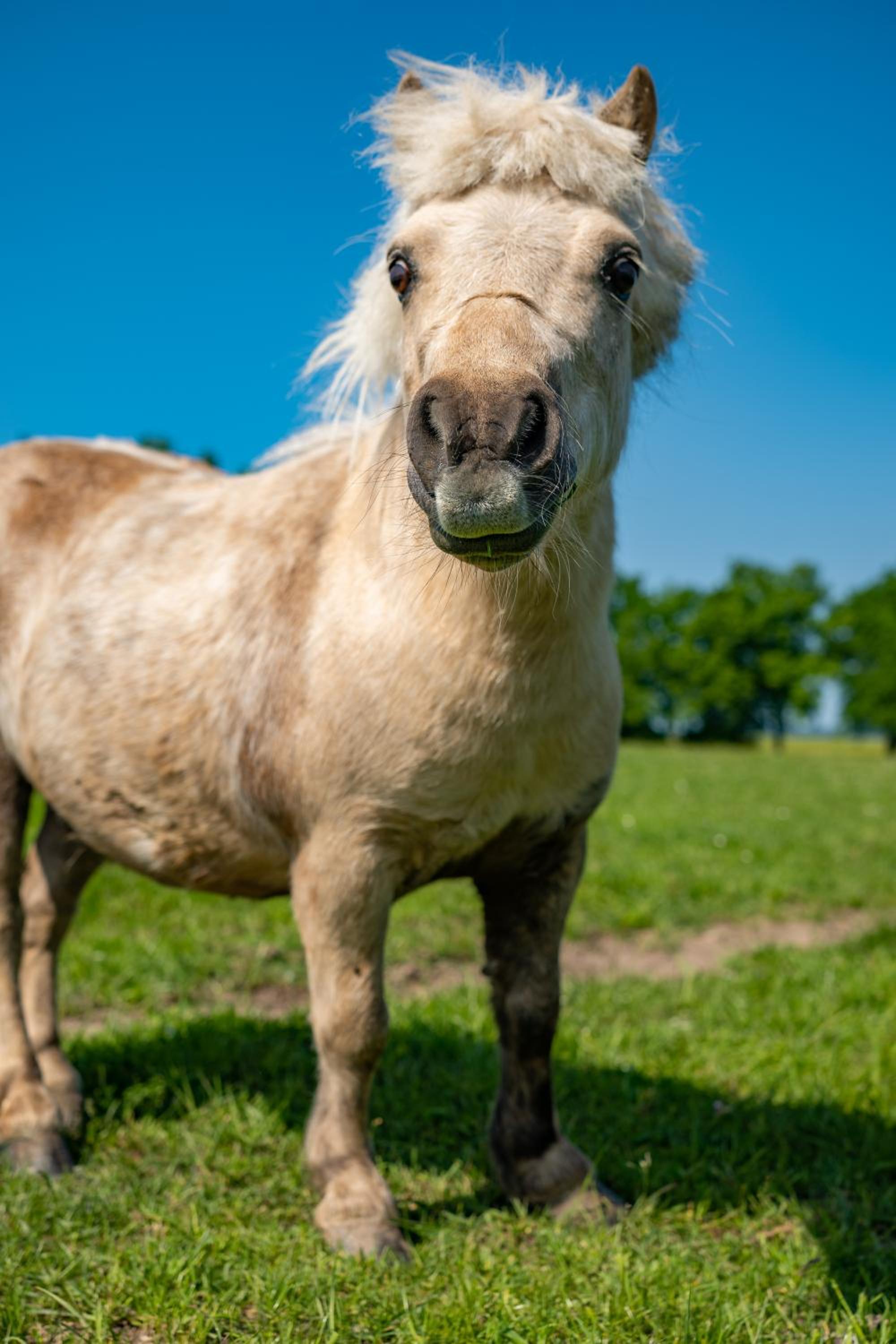 Wellness zoo apartmány Lhota