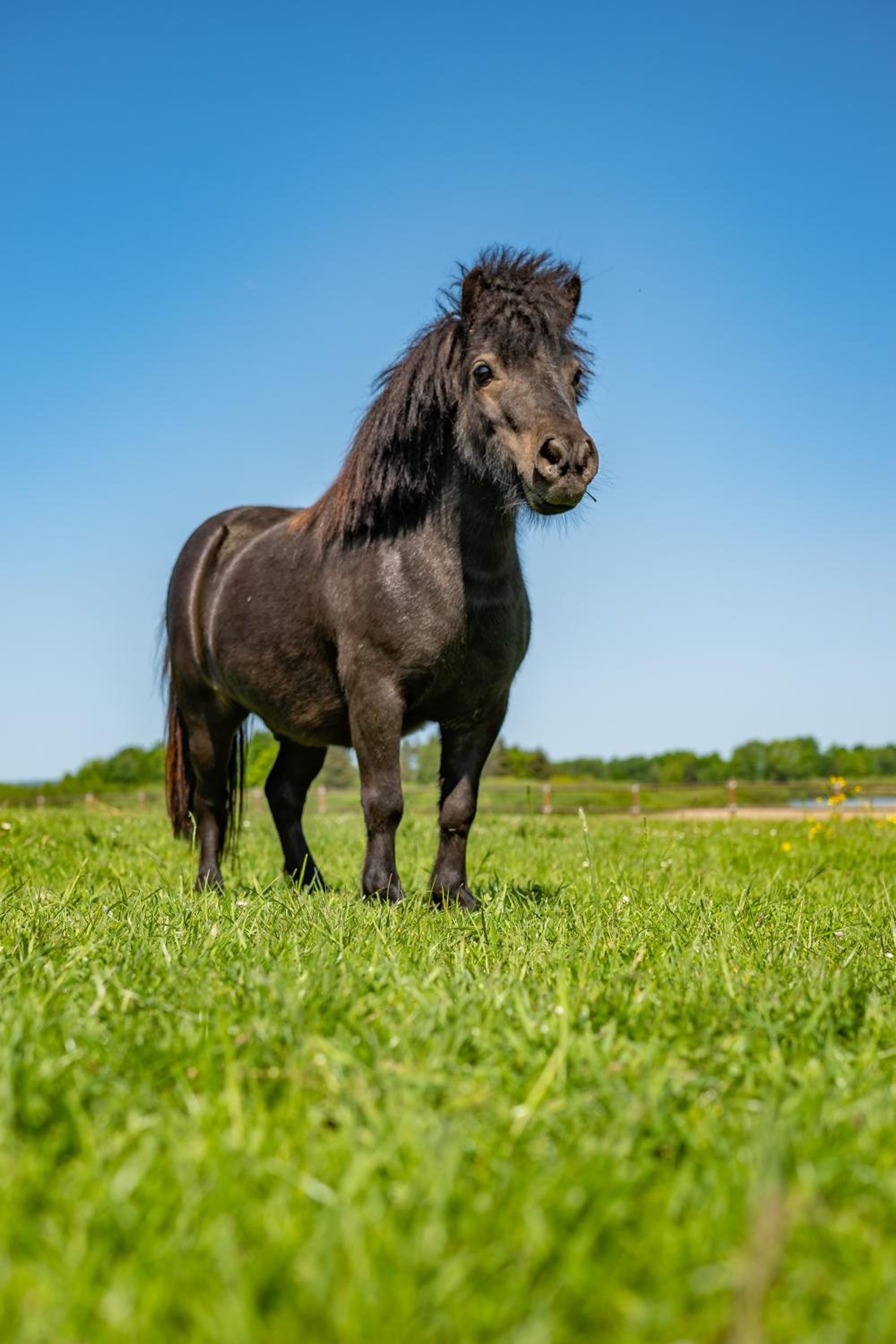Wellness zoo apartmány Lhota