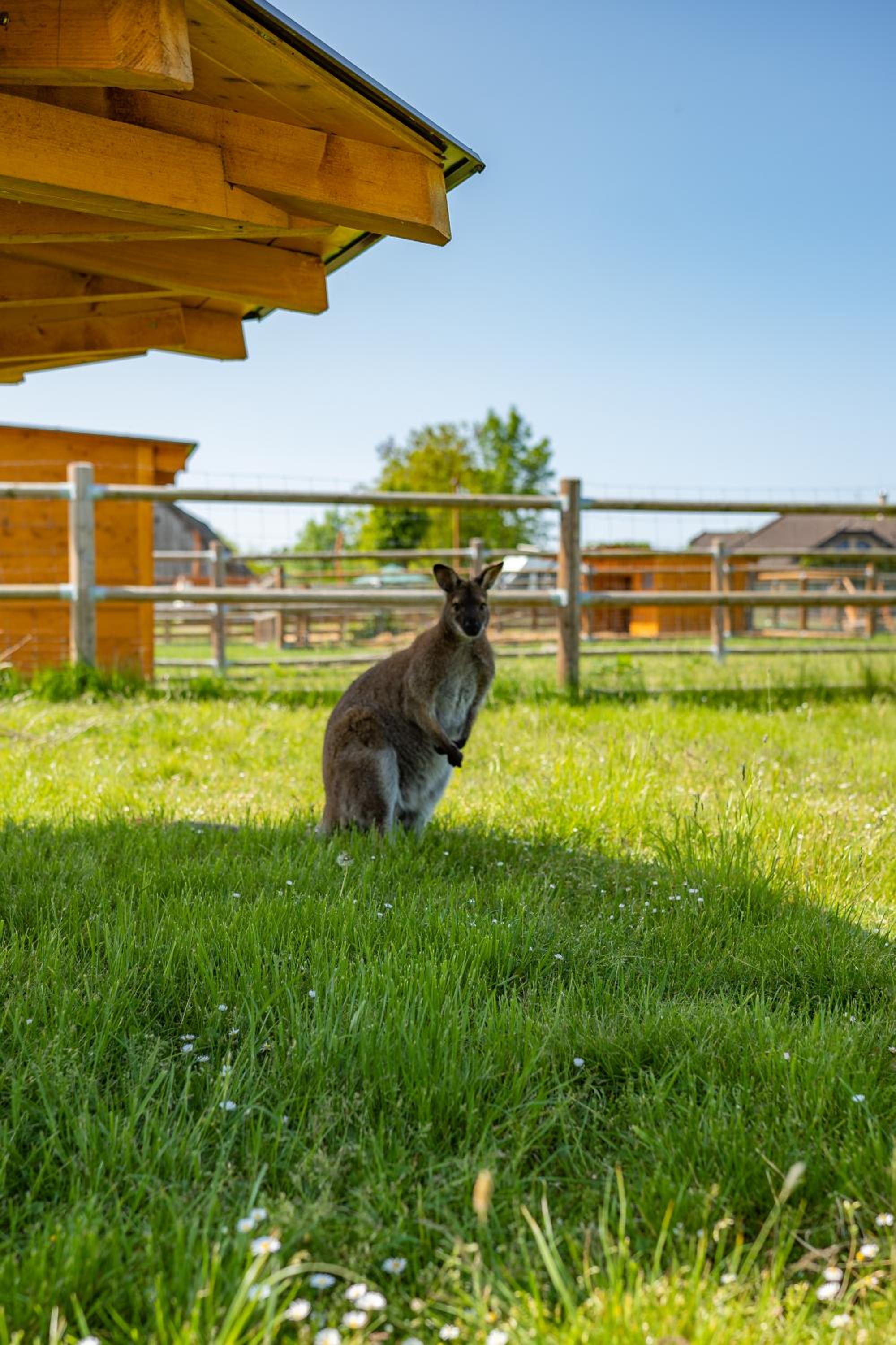 Wellness zoo apartmány Lhota