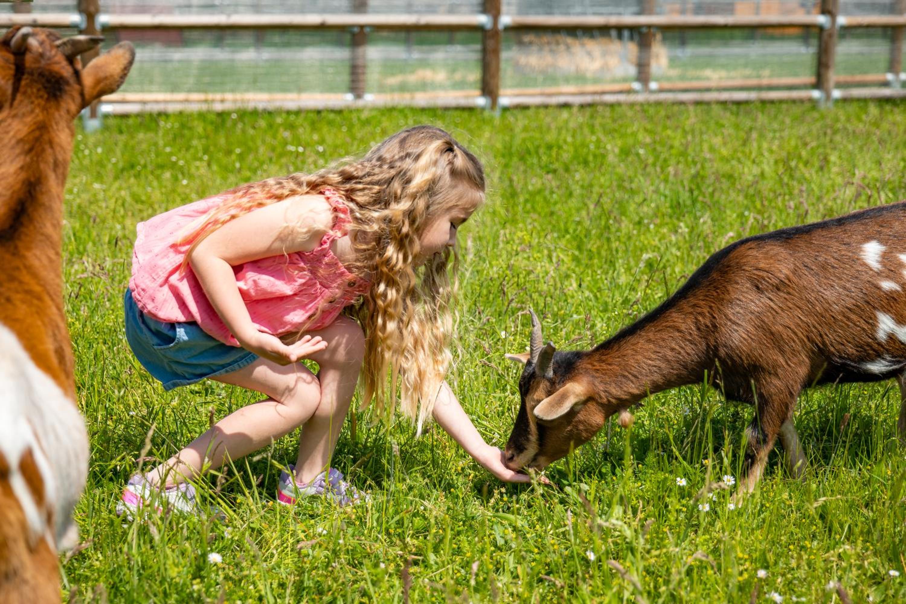 Wellness zoo apartmány Lhota
