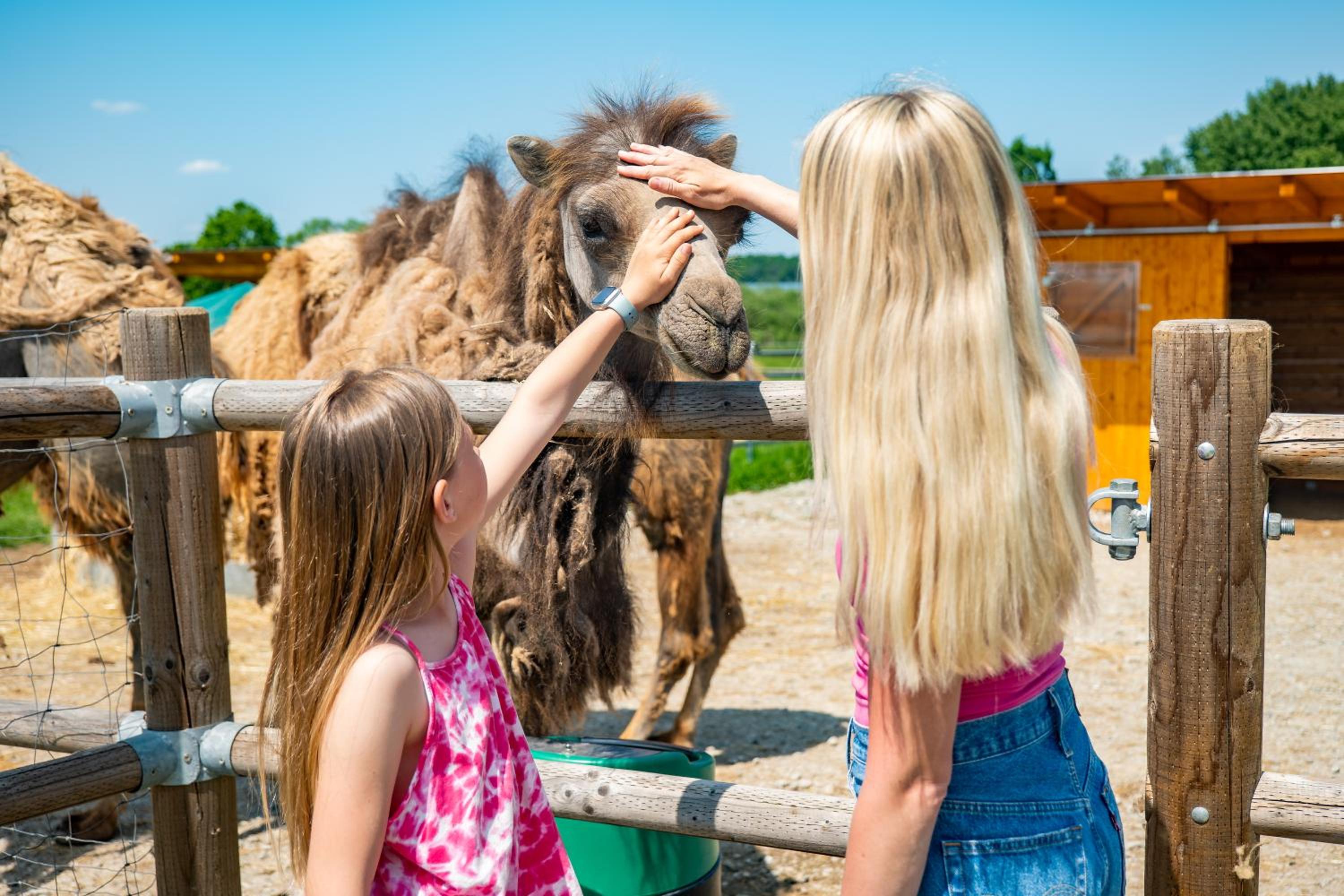Wellness zoo apartmány Lhota