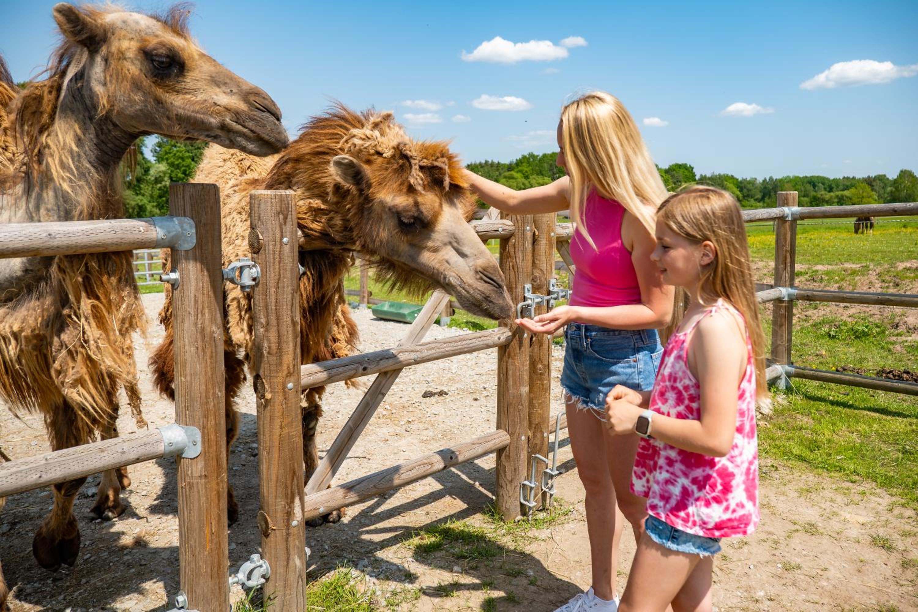 Wellness zoo apartmány Lhota