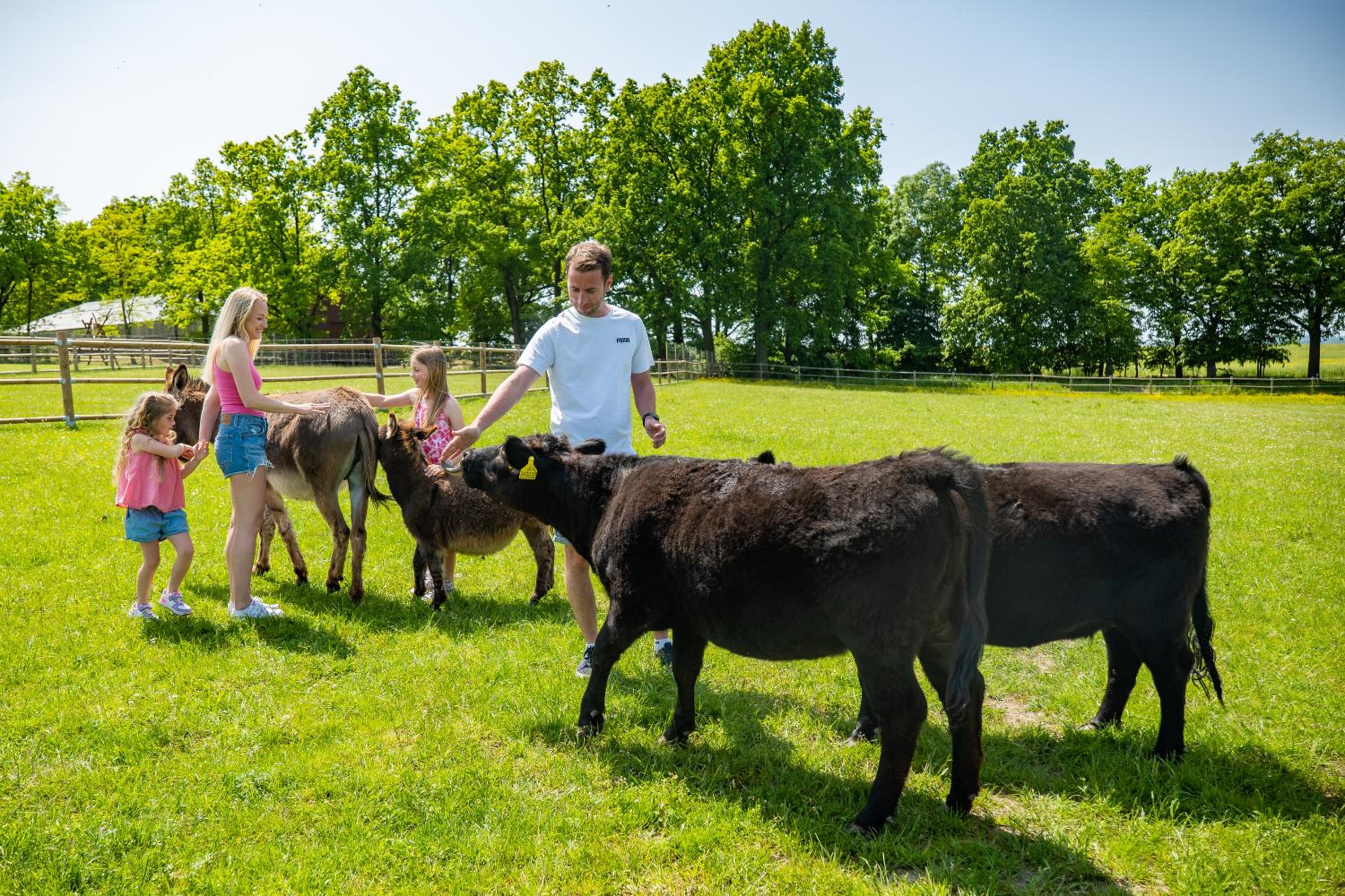 Wellness zoo apartmány Lhota