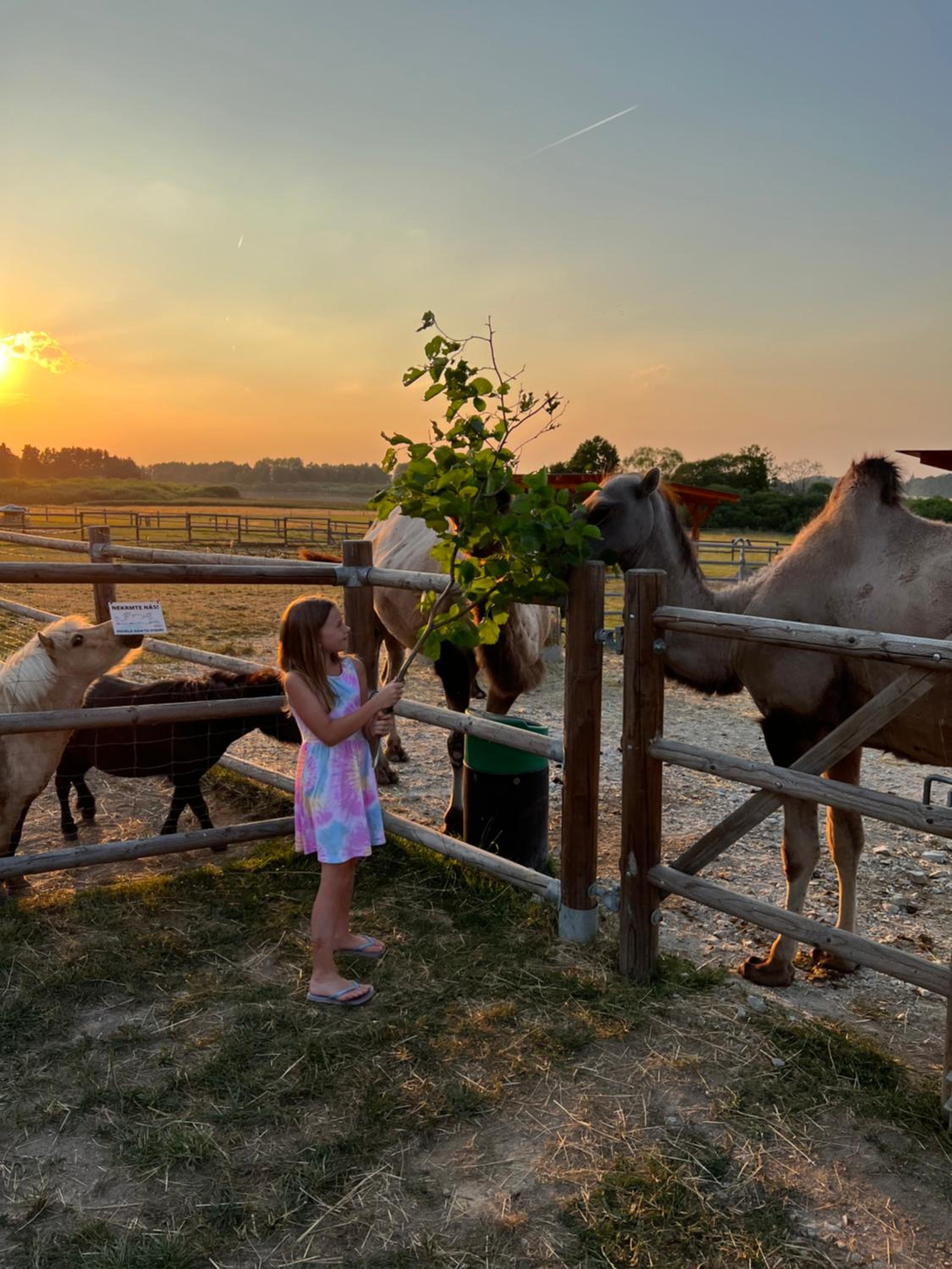 Wellness zoo apartmány Lhota