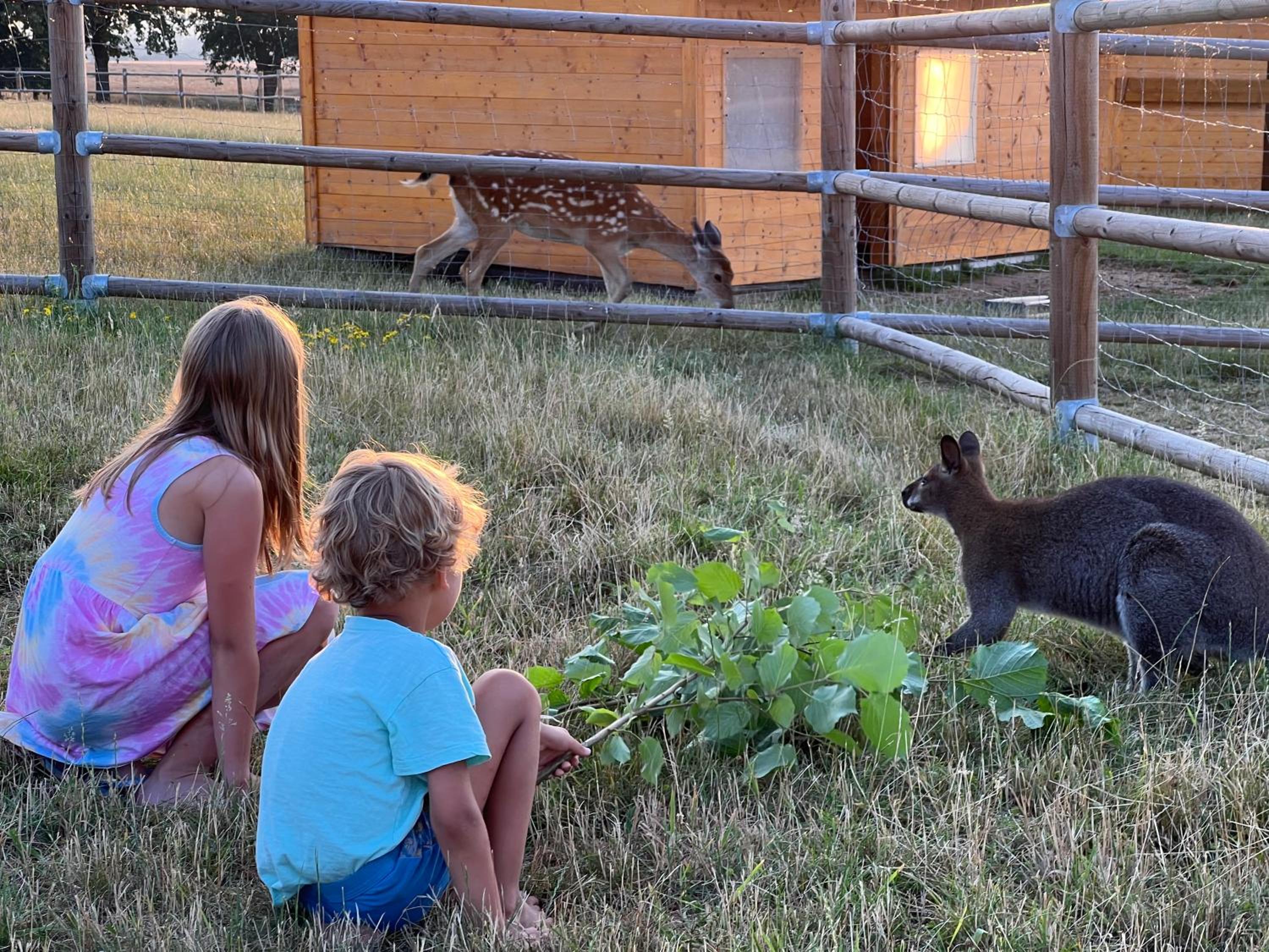 Wellness zoo apartmány Lhota