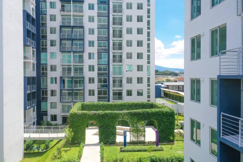 New Luxury Apartment 12th Floor