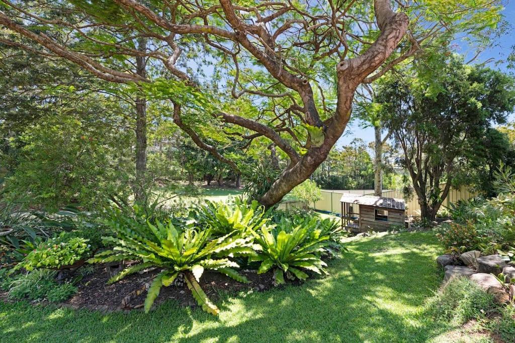 A Charming Queenslander