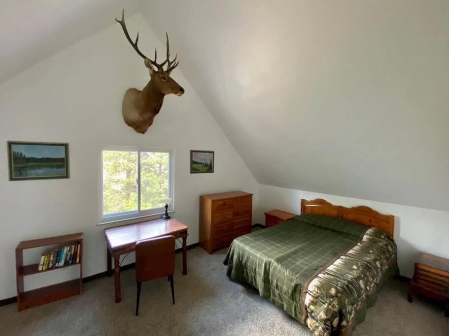 Your own Base Camp for your mountain adventures view 2