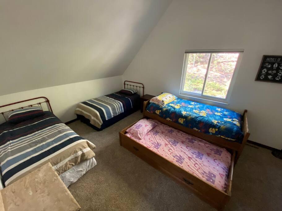 Your own Base Camp for your mountain adventures view 5