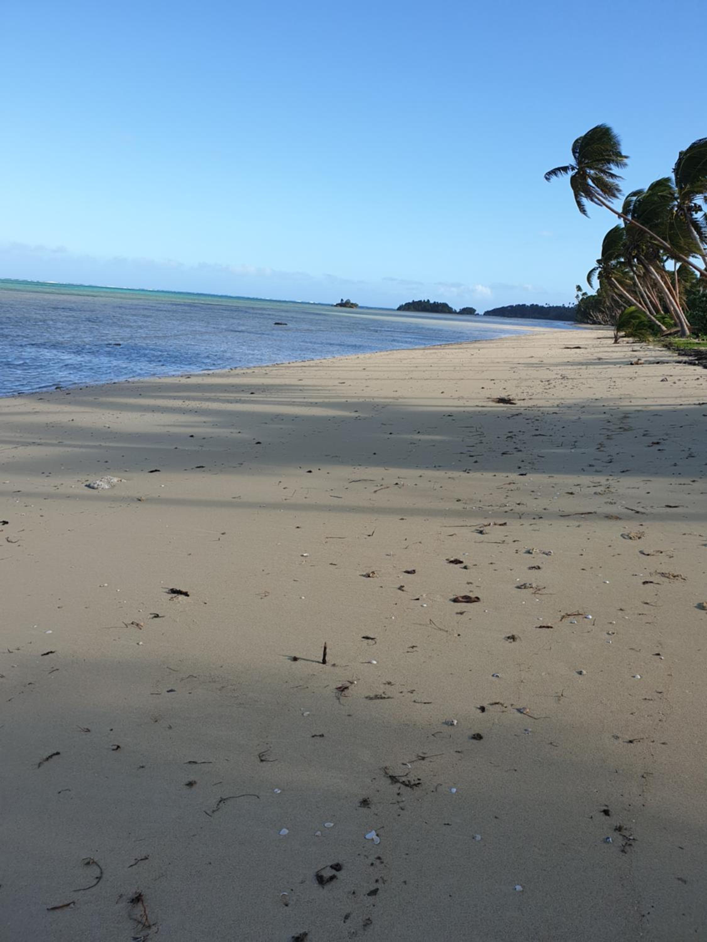 Nabuco Estate Bure Rentals