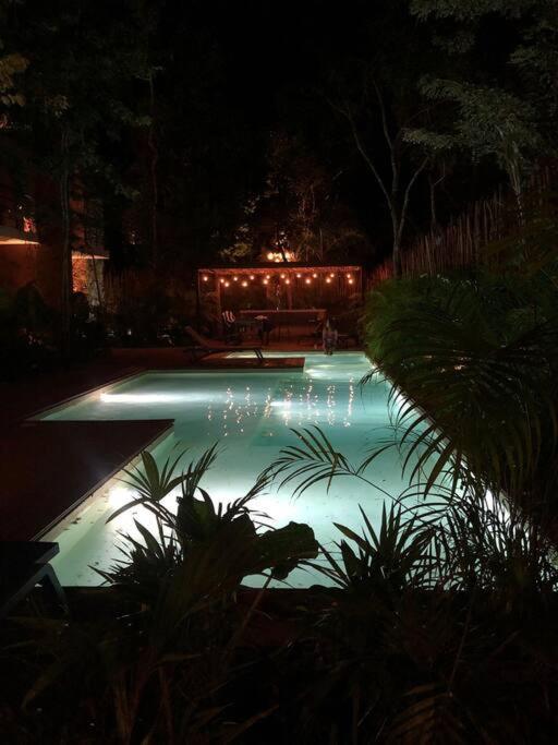 Luxury 2 BDR 2 BTH 2 Bikes Jacuzzi FibOptic WiFi.