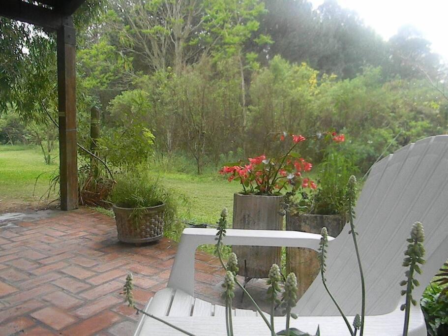 Sen de campo: viví la naturaleza