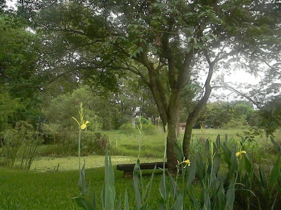 Sen de campo: viví la naturaleza