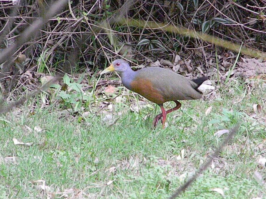 Sen de campo: viví la naturaleza