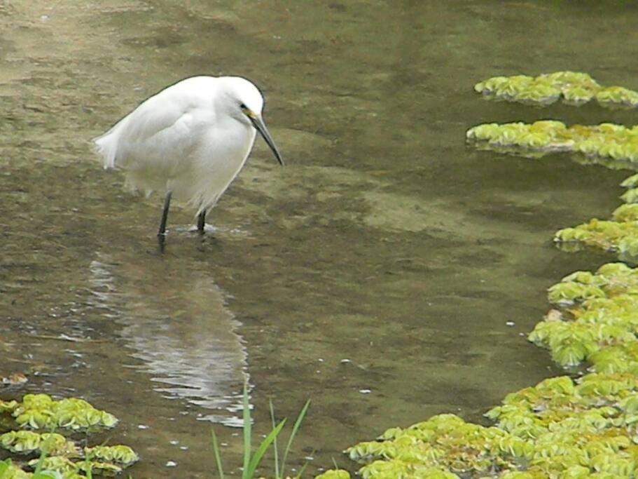 Sen de campo: viví la naturaleza