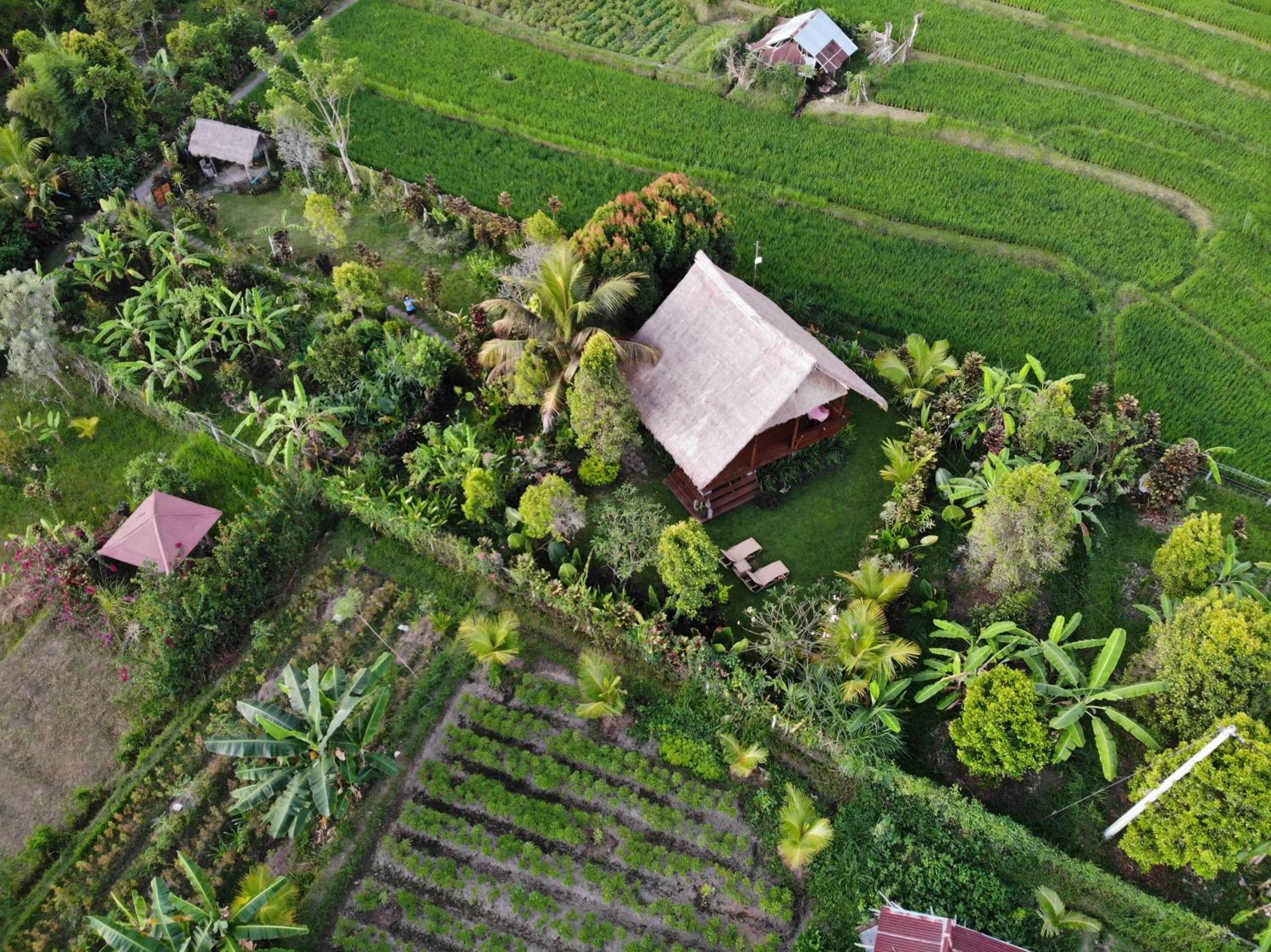 Cute Eco Cottage Near 7 Waterfalls view 5