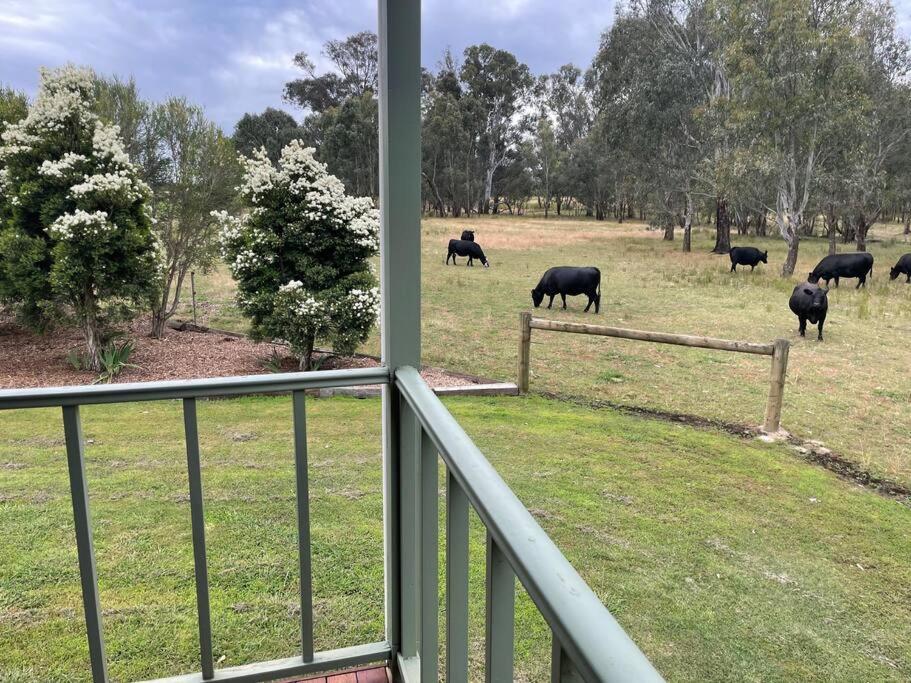 Bogaroo Cottage